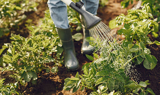 Ouvrier/ère paysagiste | L'Outil en Main France