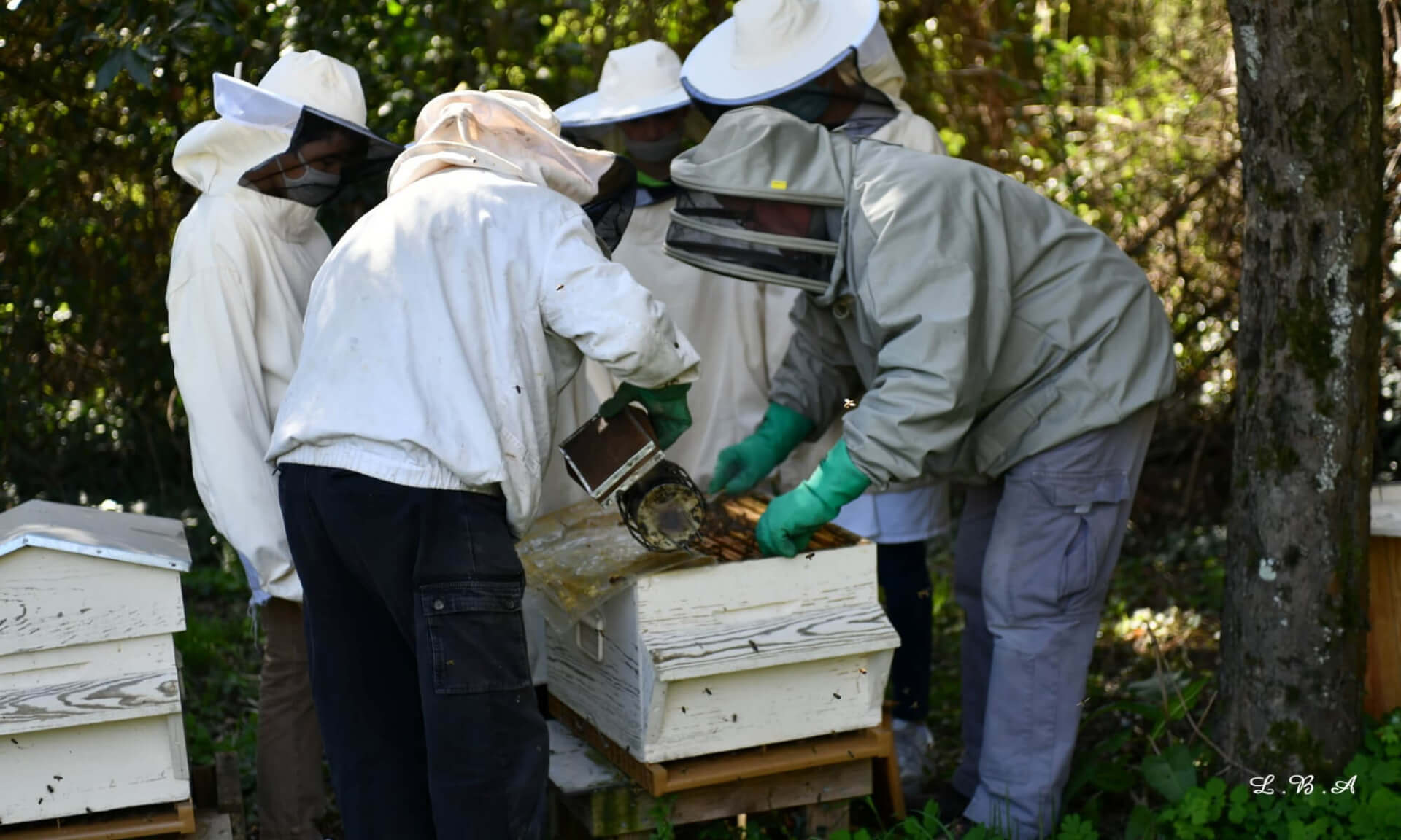 Apiculteur/rice | L'Outil en Main France