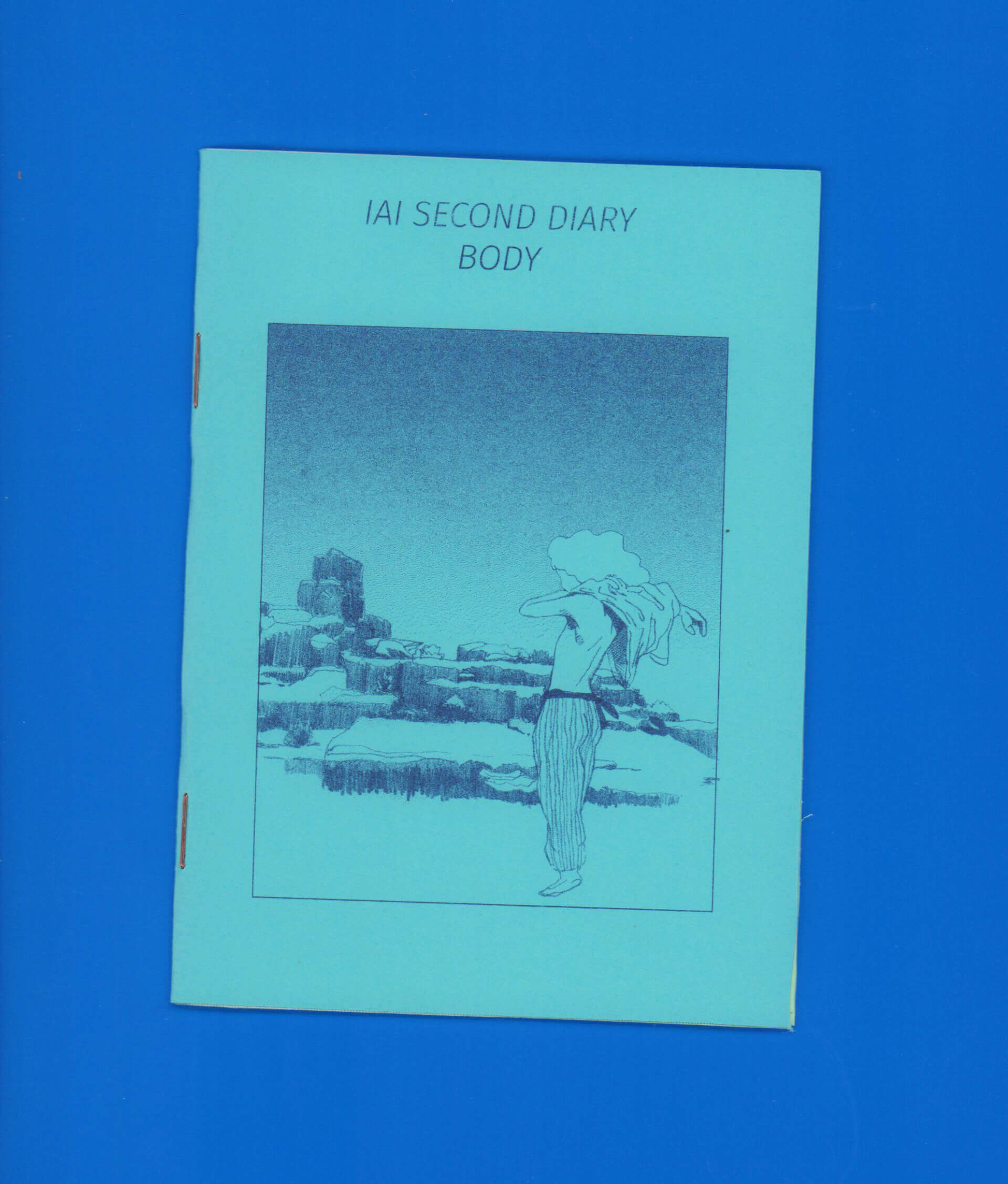 IAI 2ème journal / Corps | Forgeries & En 3000 Éditions