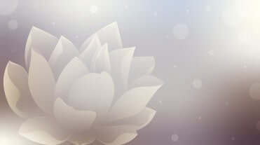 Không thể tiếp tục chà đạp lên lòng tự trọng chính mình ! | Vietnam Fraternité