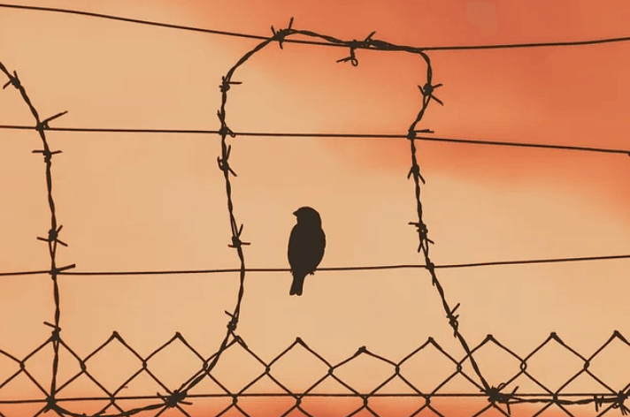 Đàn áp Tập Hợp Dân Chủ Đa Nguyên là một sai lầm của Đảng cộng sản | Vietnam Fraternité