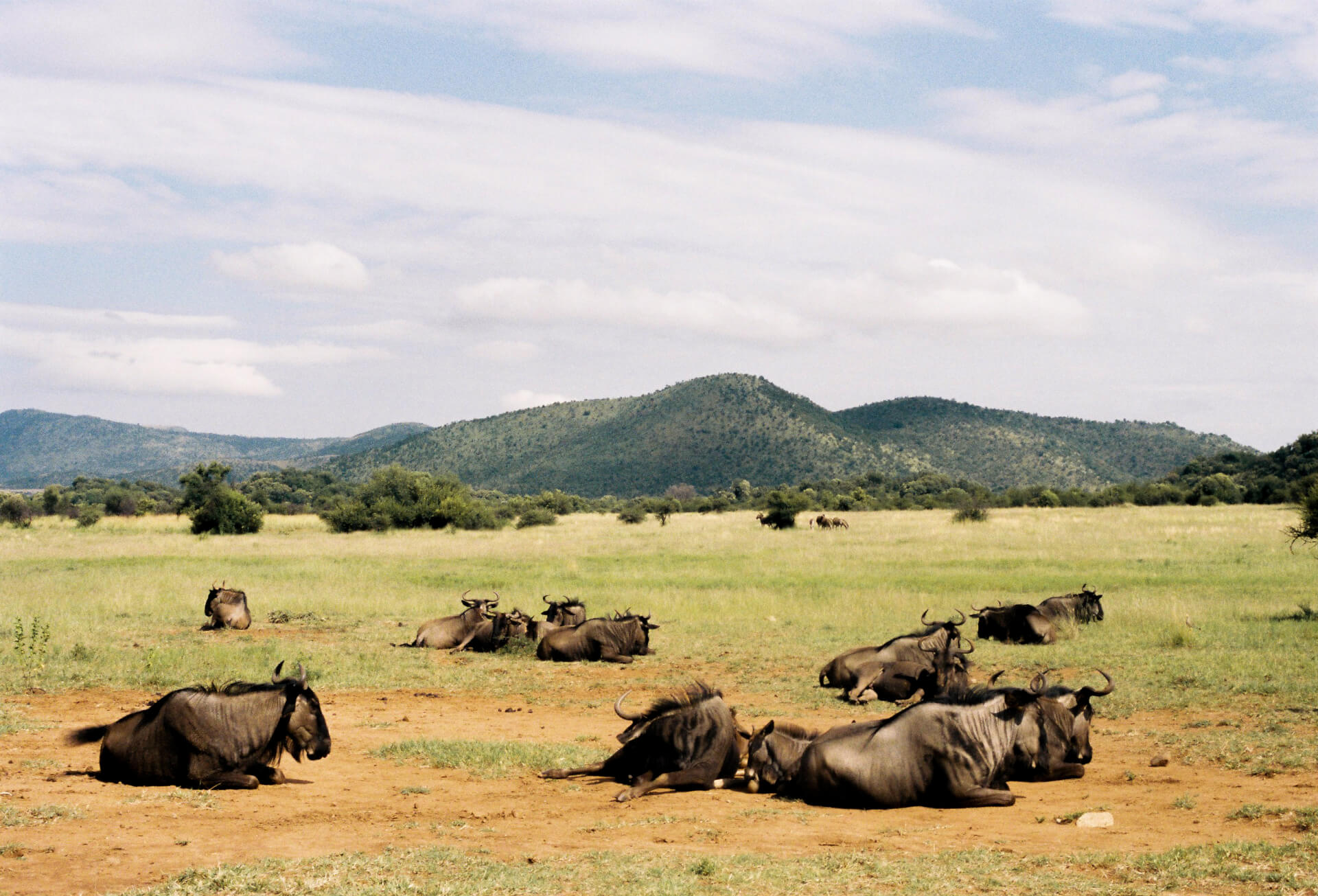 Stills | Vadim Alsayed