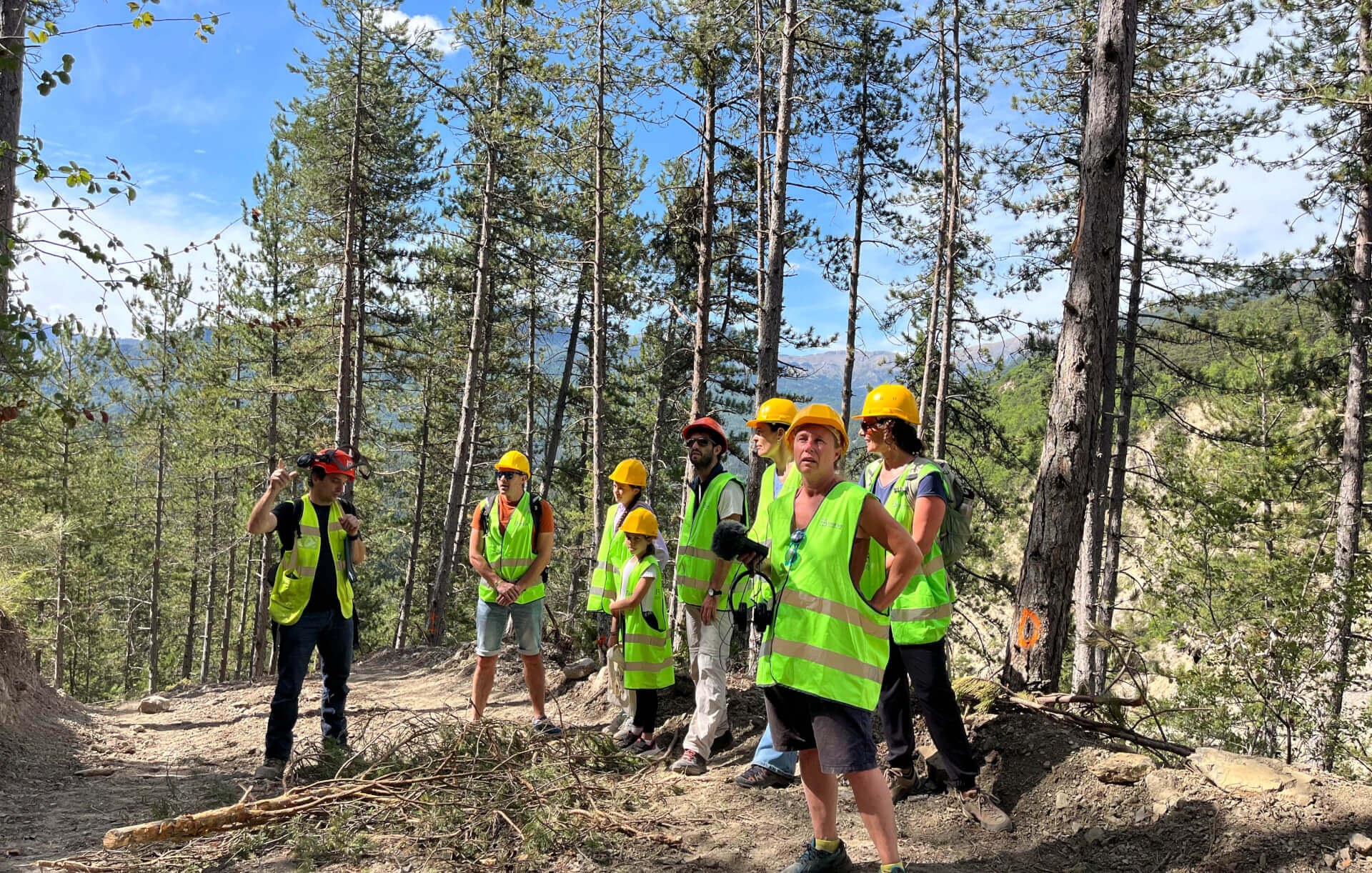 Vis ma vie de bûcheron : immersion au cœur des forêts alpines | Fibois Sud
