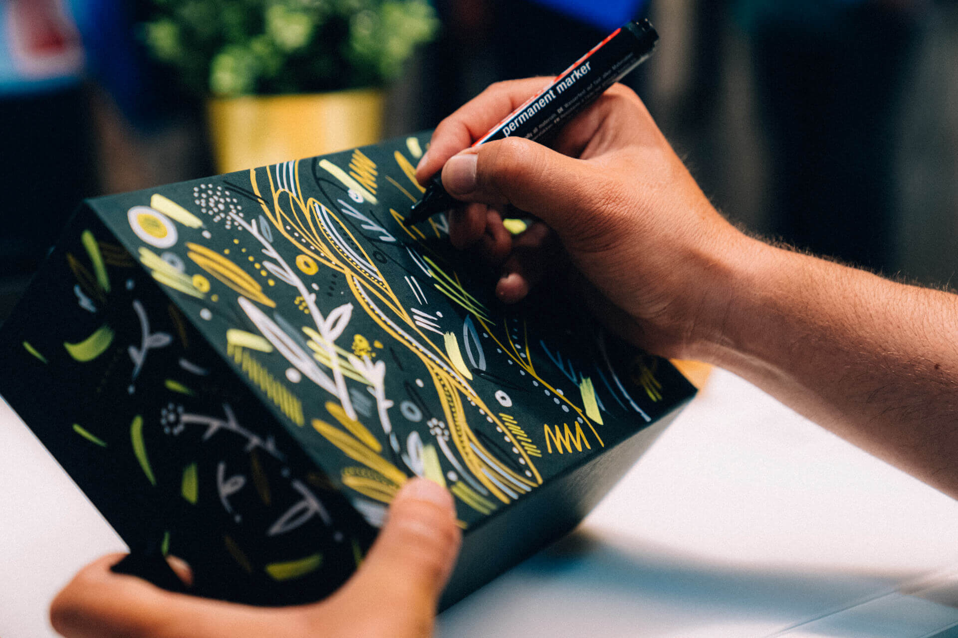 - | Maison Météore