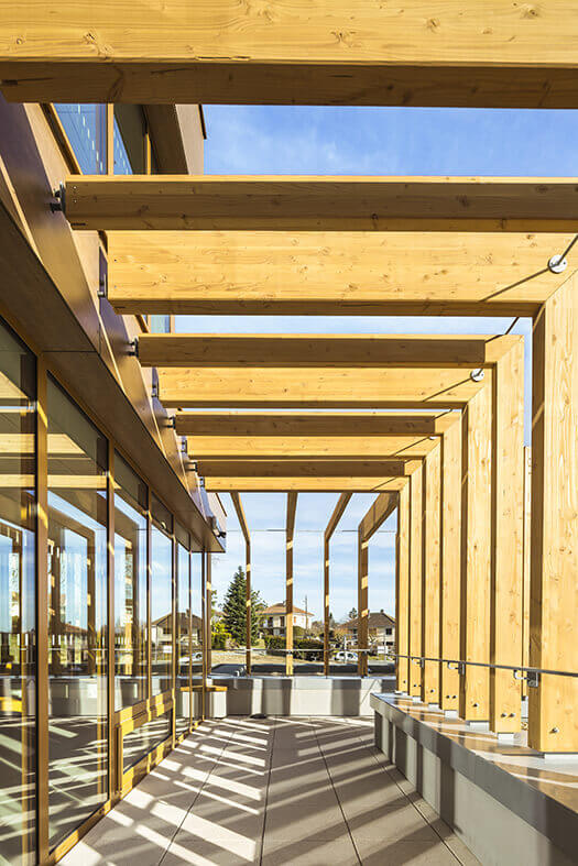 - | BVL Architecture