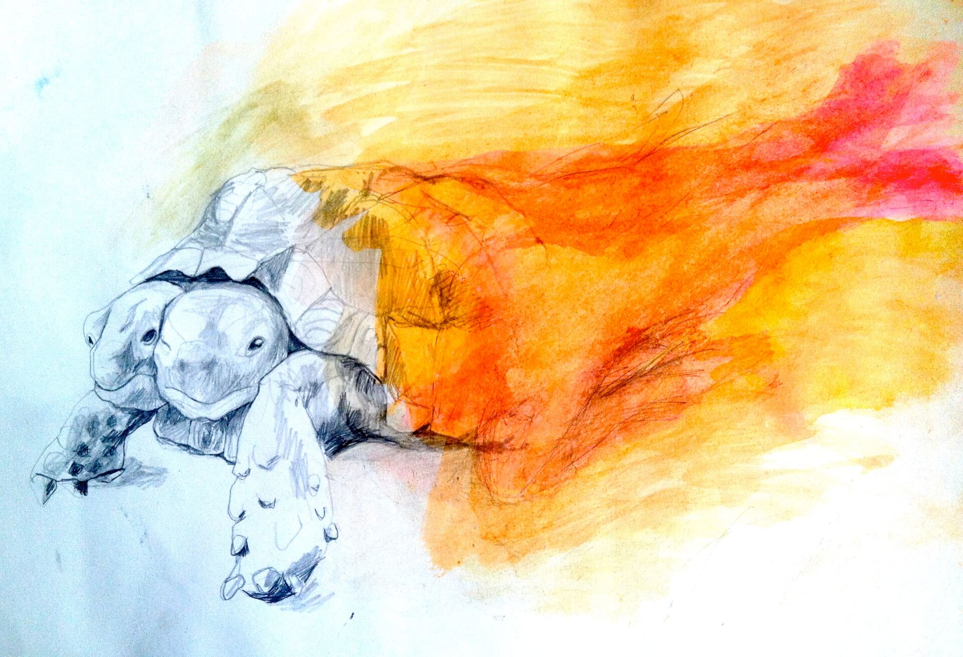 - | Amandine Levy / Lesay