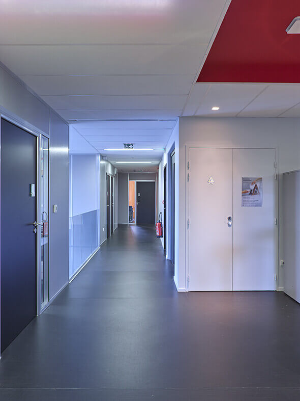 - | BVL Architecture