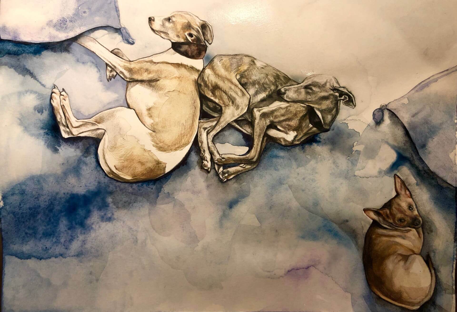 - | Amandine Levy / Lesay