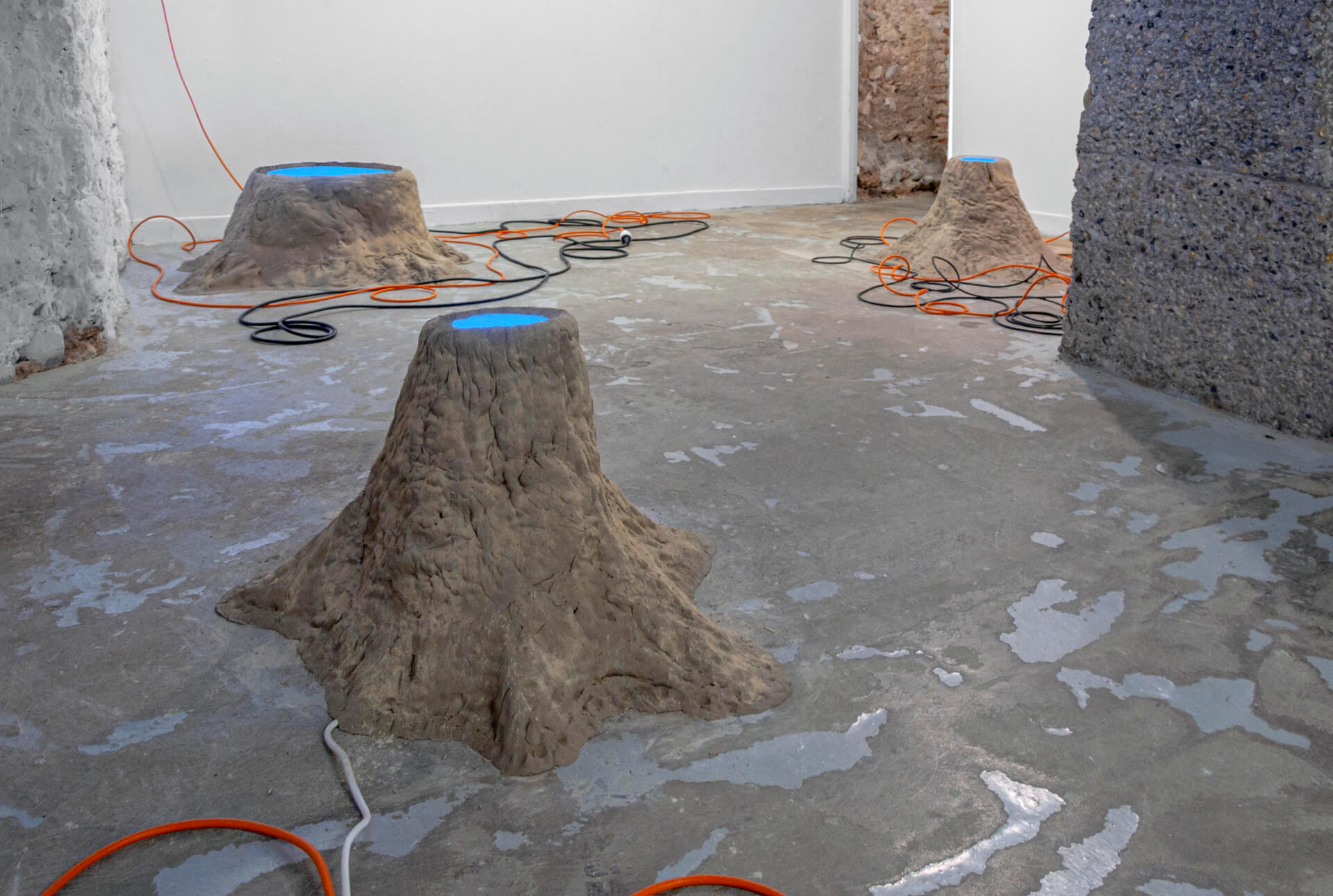 - | Jérôme Lavenir