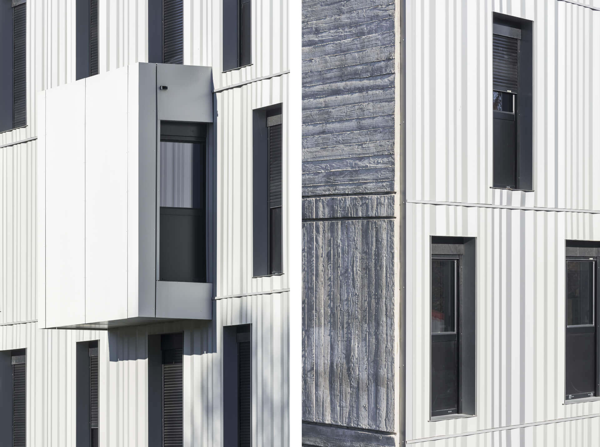 - | BVL Architecture