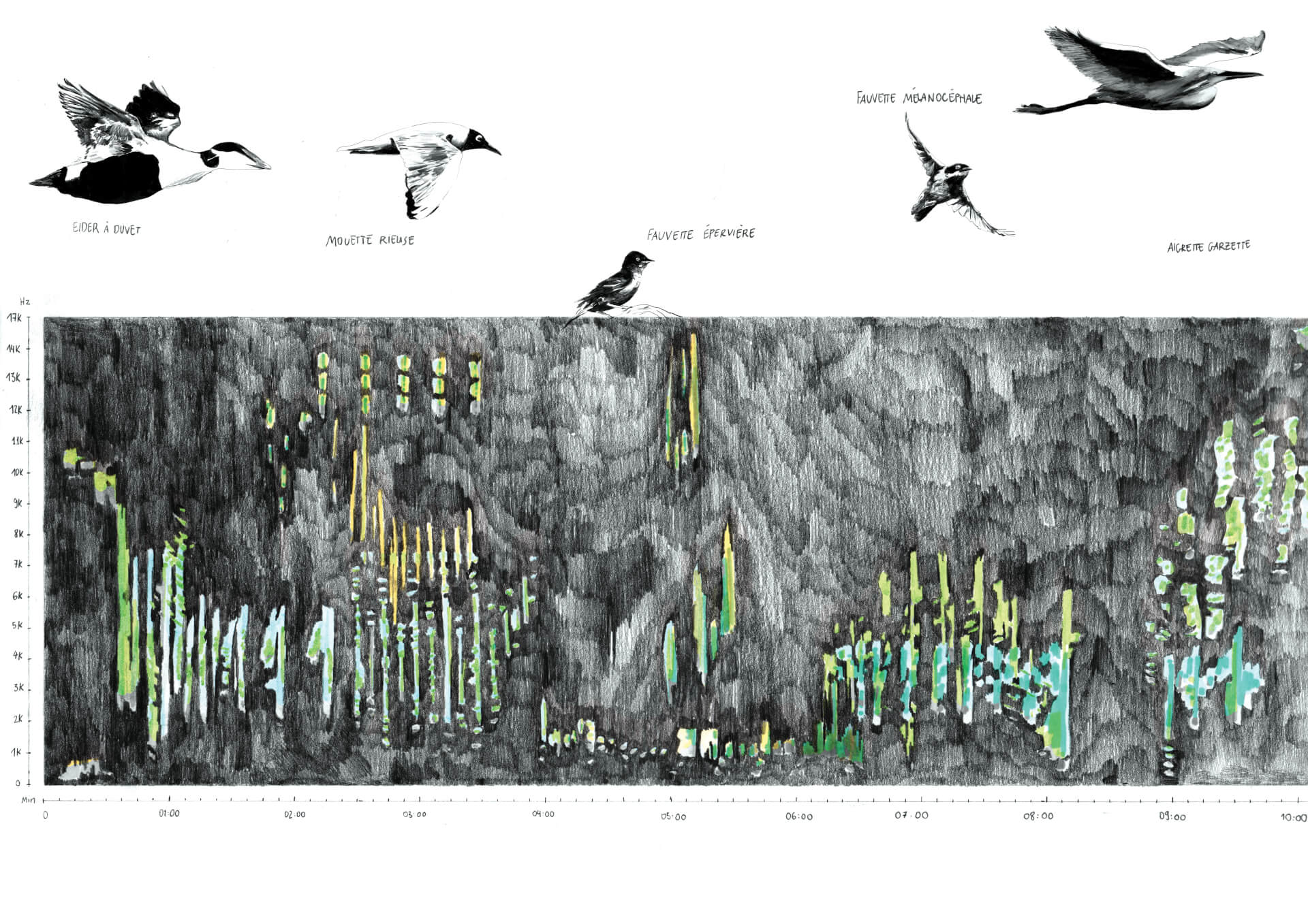 - | Éléonore Scardoni