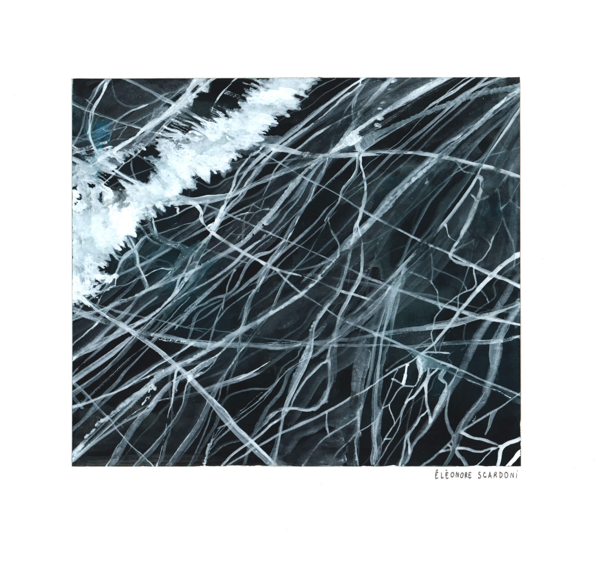 - | Éléonore Scardoni