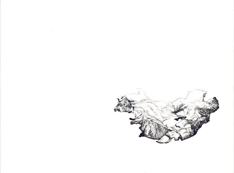 - | Éléonore Scardoni