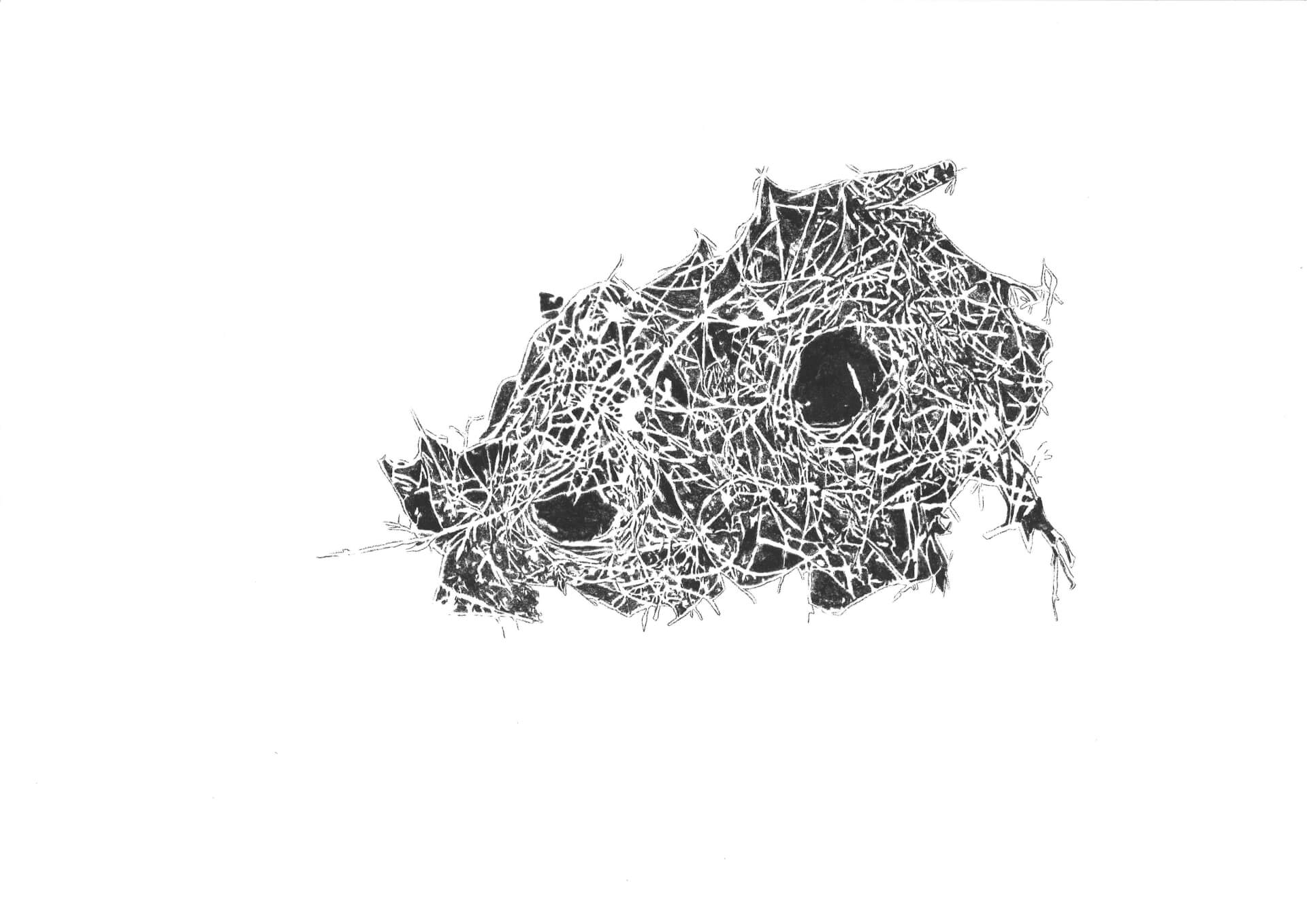 - | Éléonore Scardoni