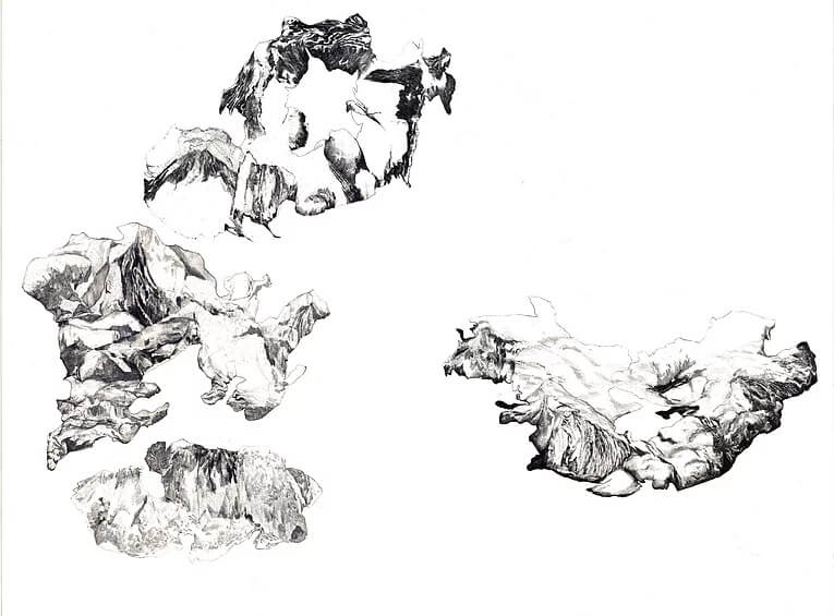 - | Éléonore Scardoni