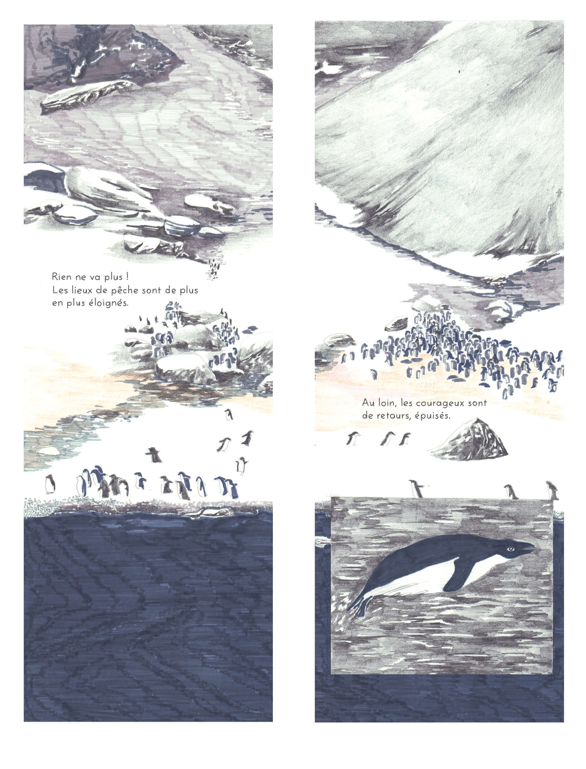 - | Éléonore Scardoni