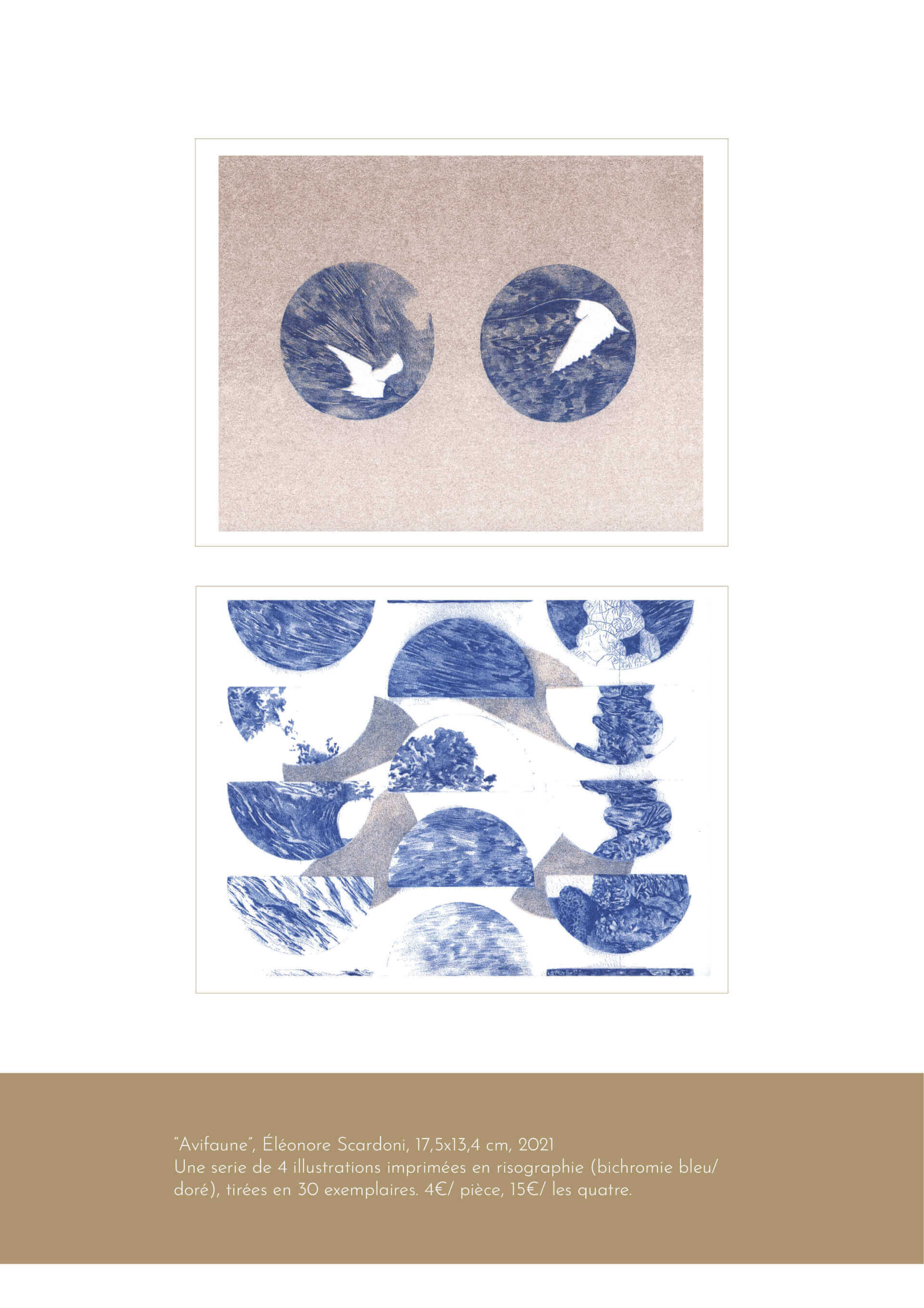 "Avifaune" | Éléonore Scardoni