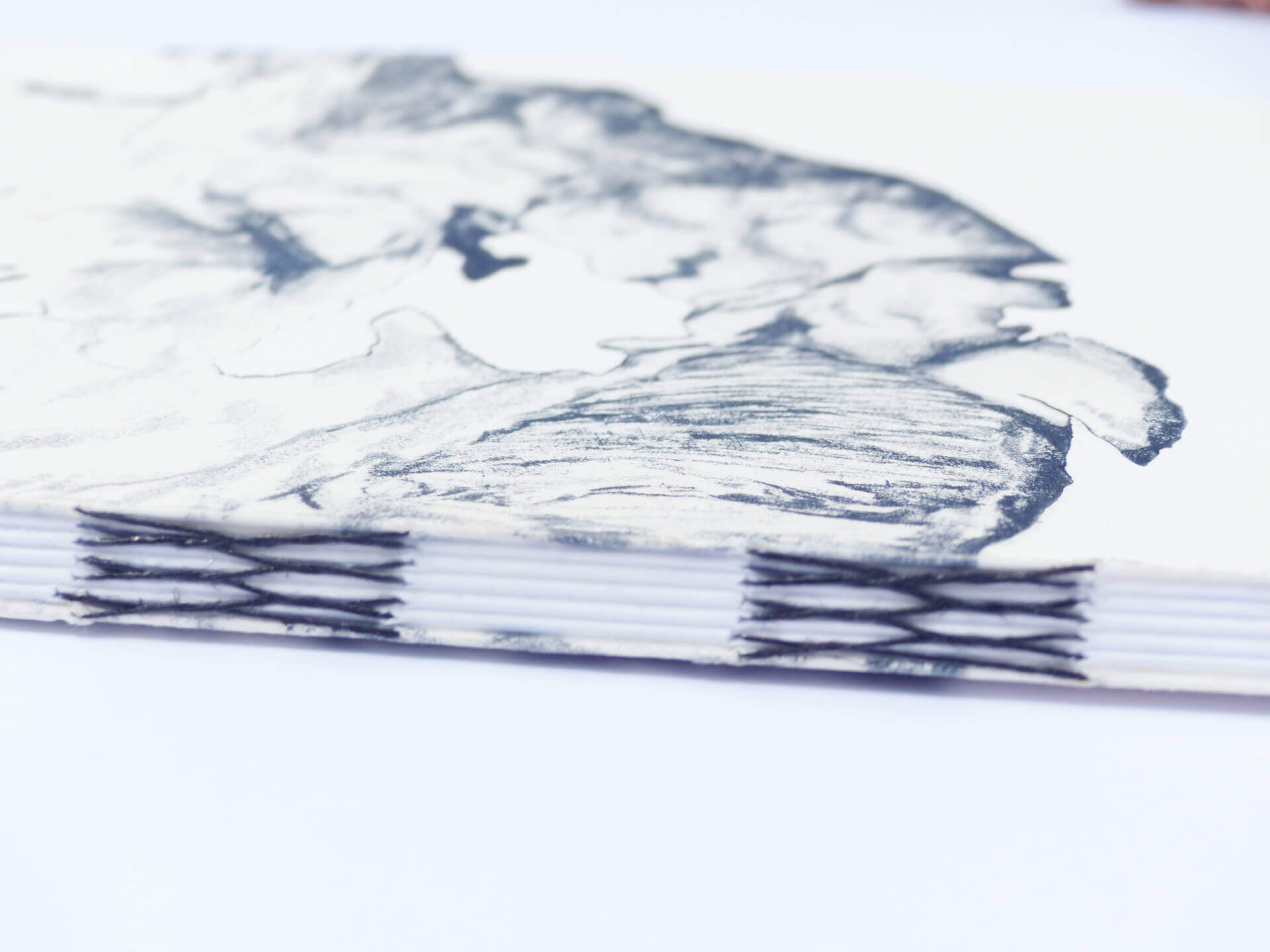 - | Éléonore Scardoni