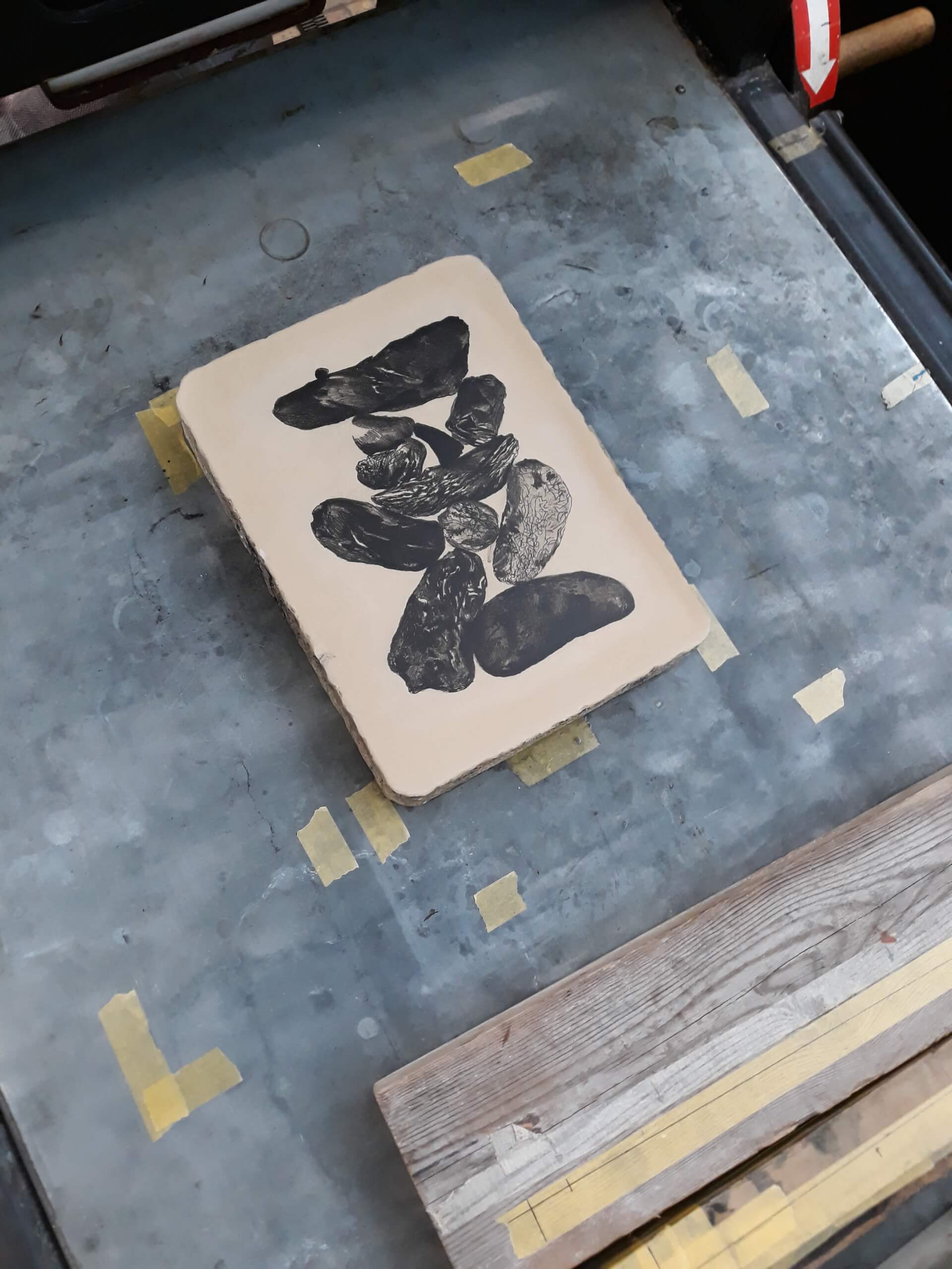 - | Éléonore Scardoni