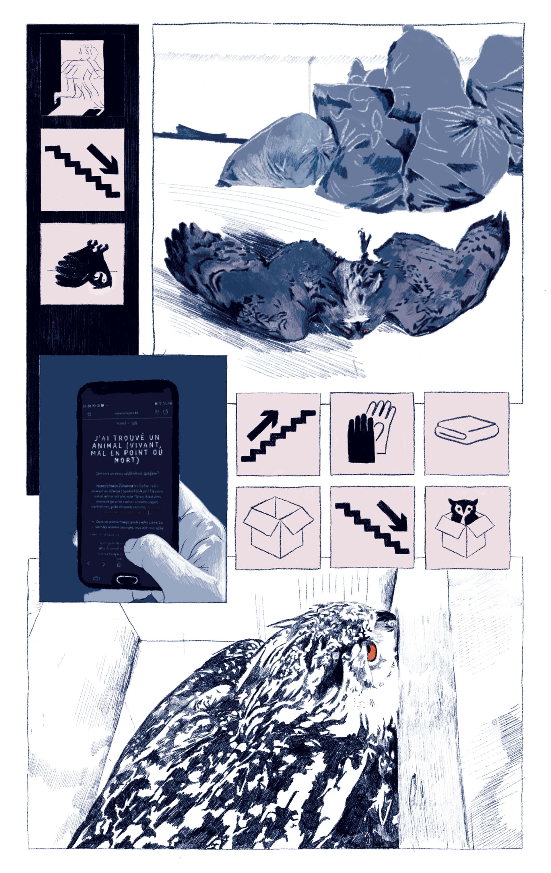 - | Éléonore Scardoni