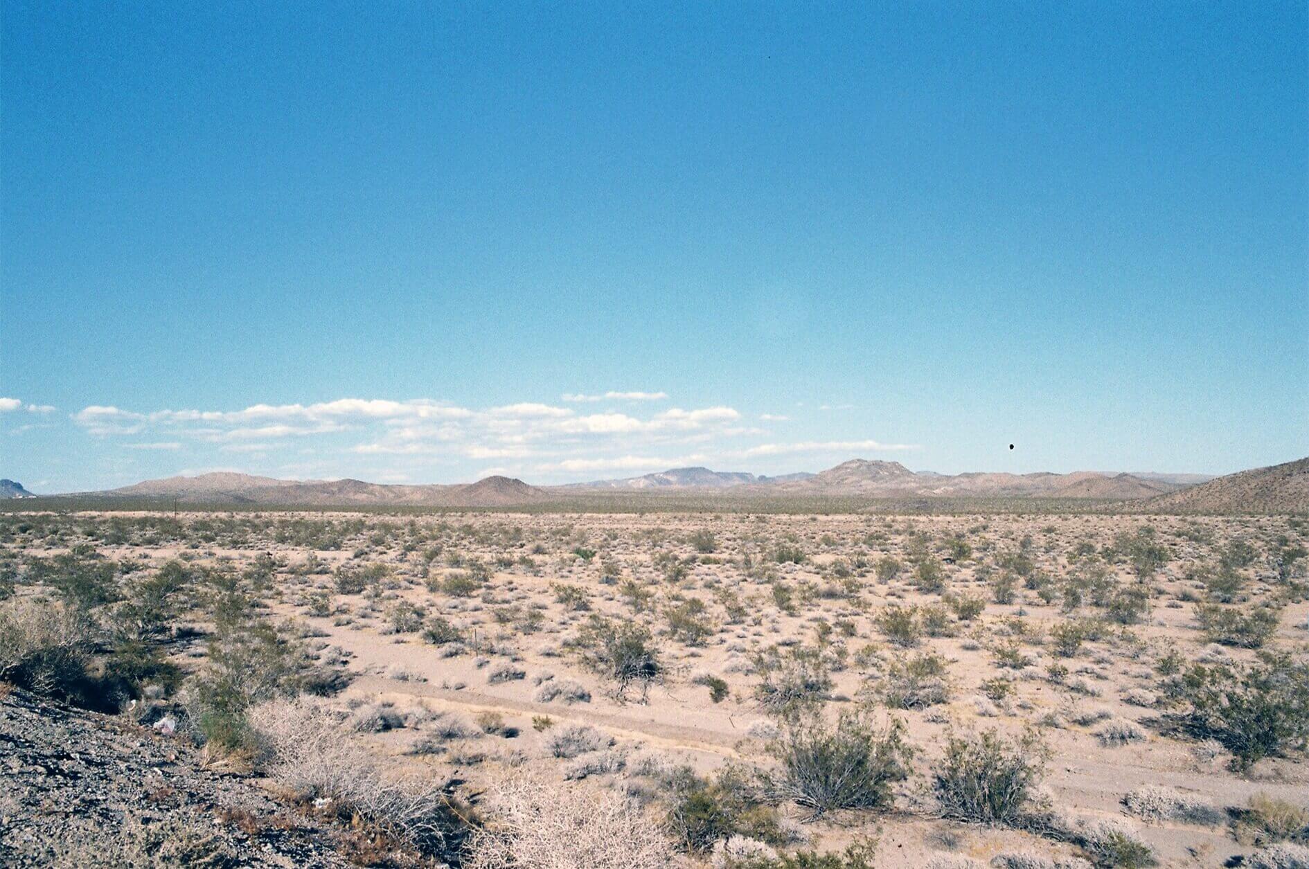 Road - Nevada | Kristy BABOUL