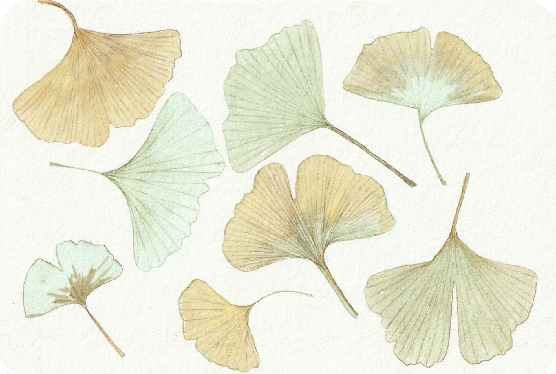 - | christophe-henry