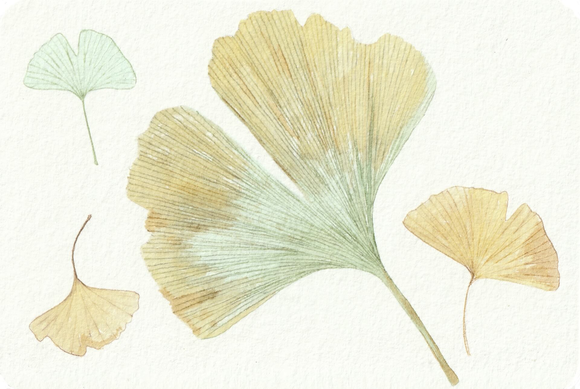 - | christophe-henry