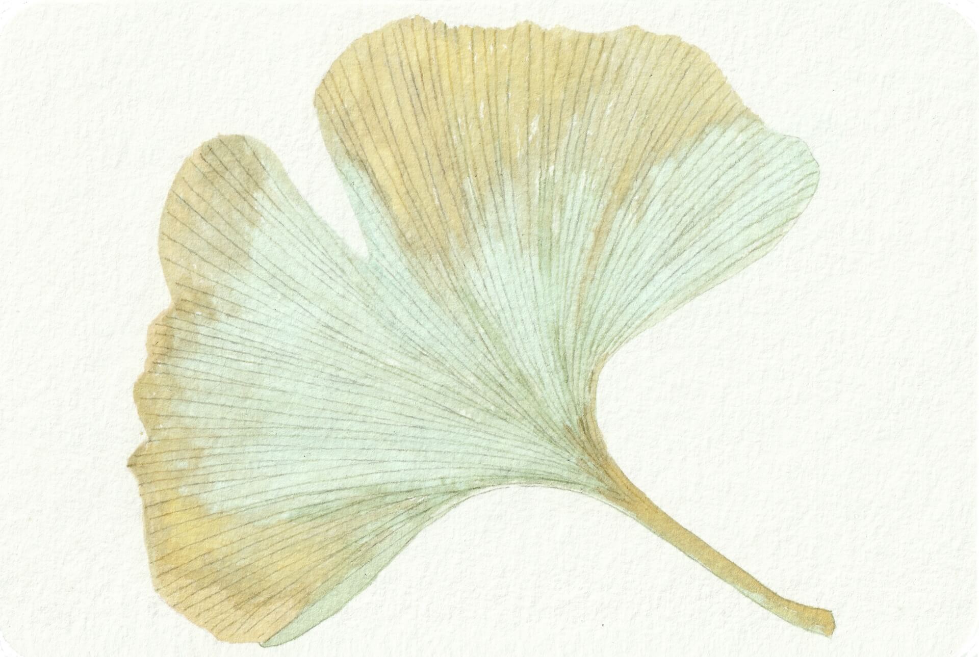 - | christophe-henry