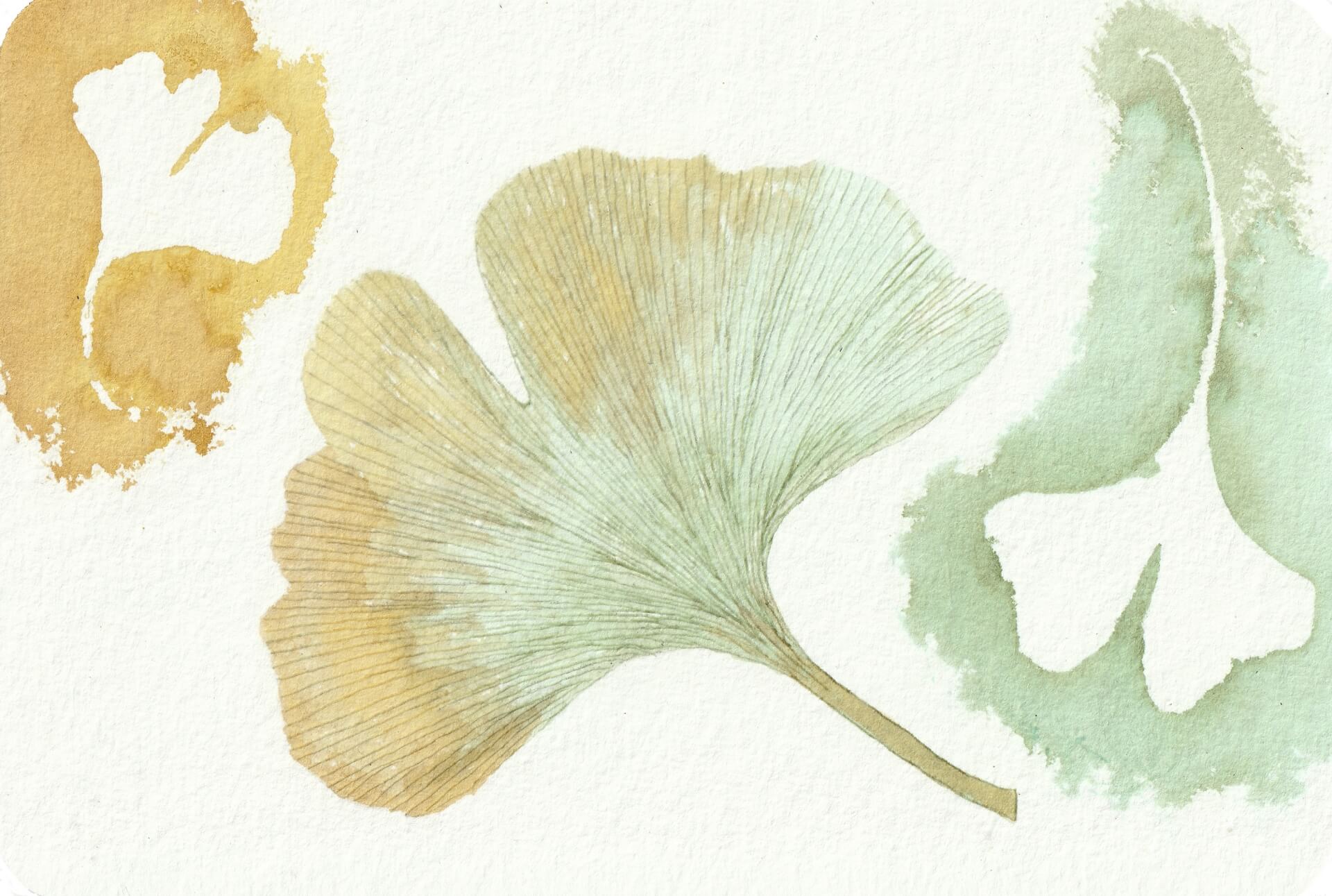 - | christophe-henry