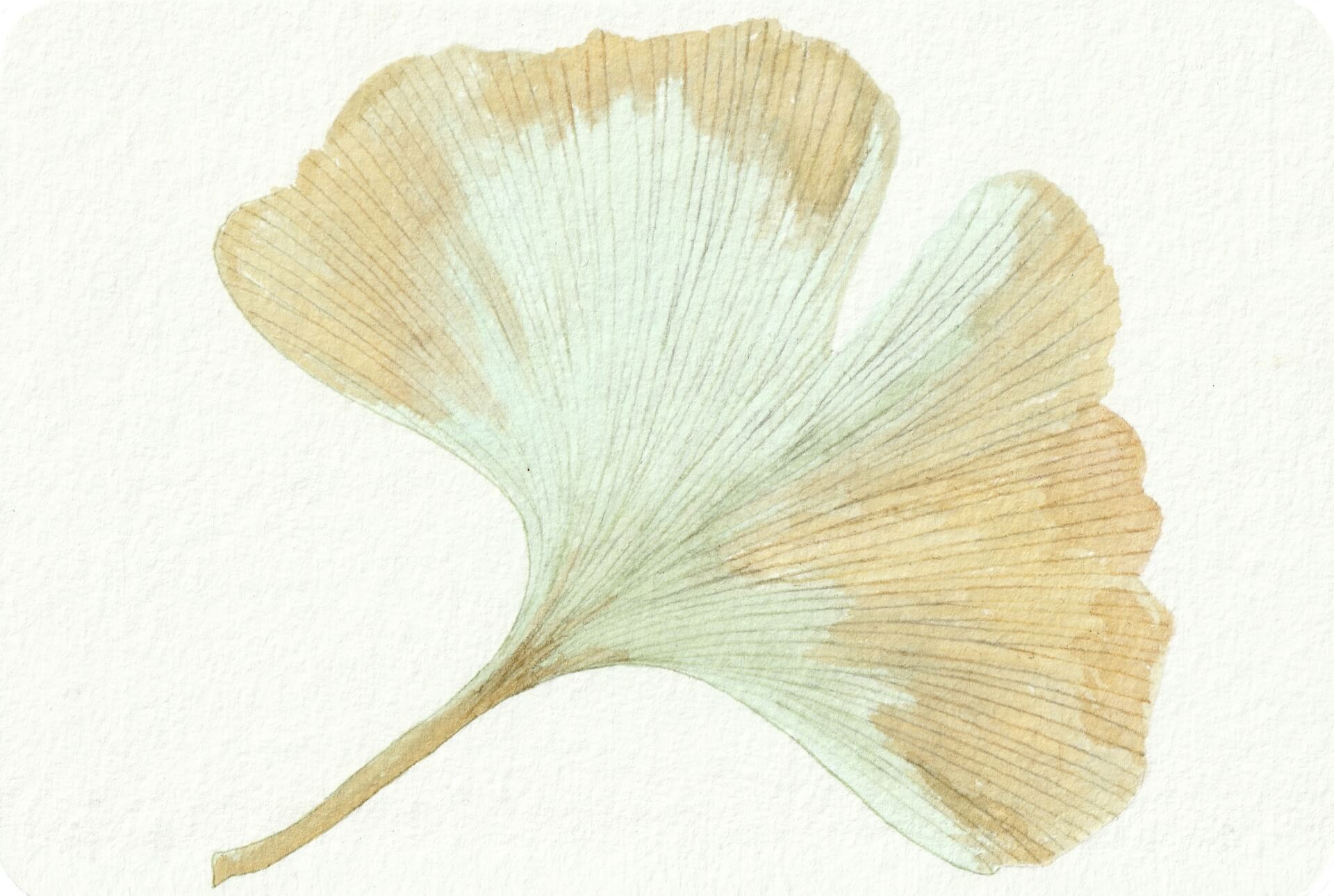 - | christophe-henry