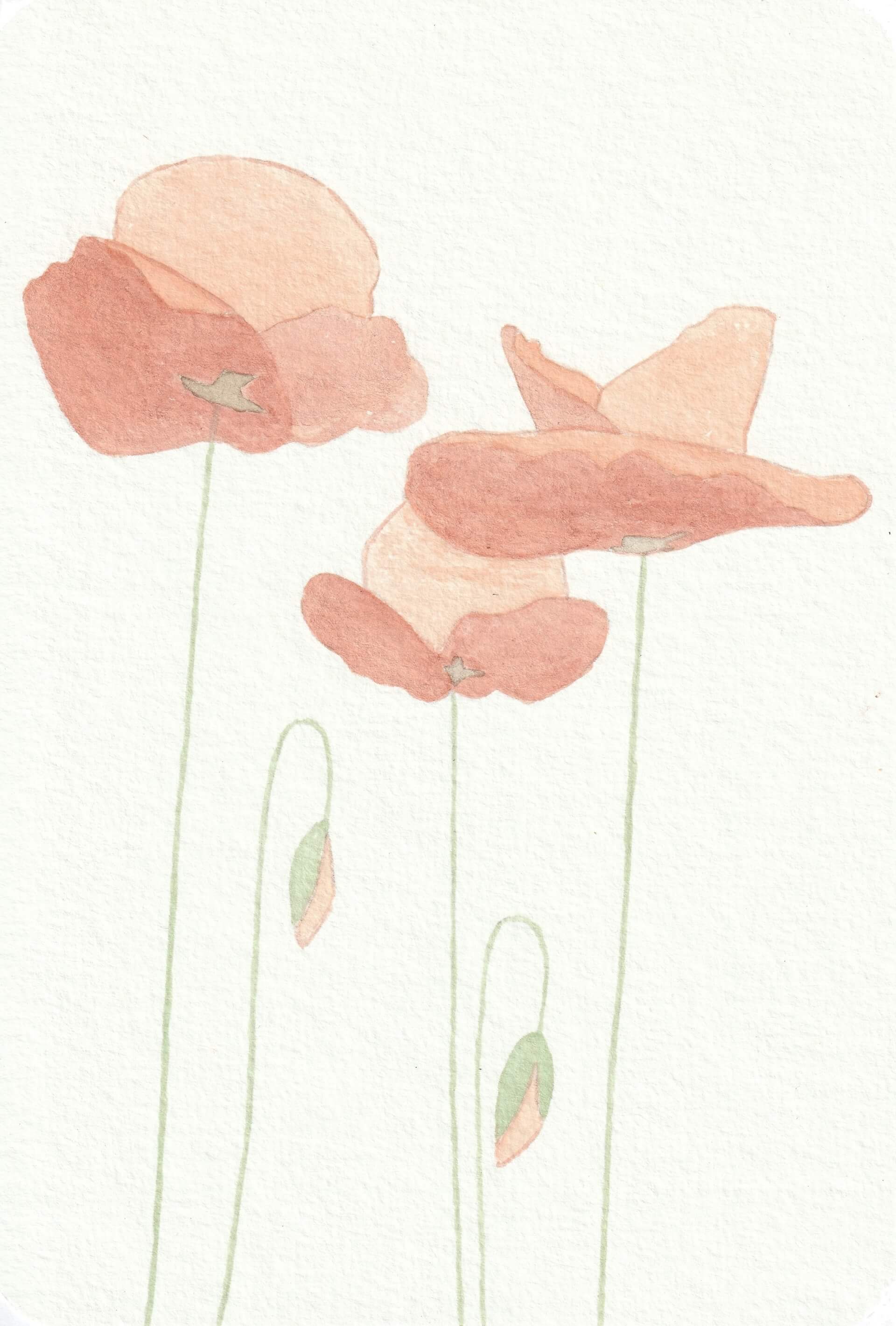 - | christophe-henry