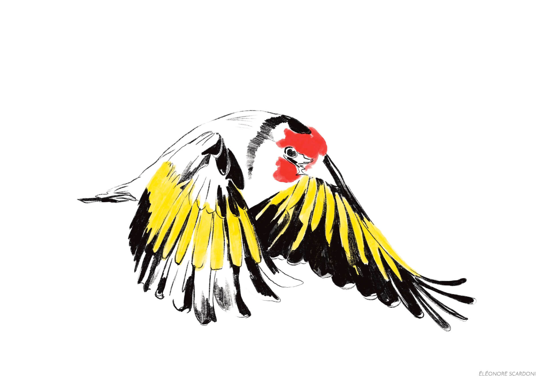 - | Éléonore Scardoni