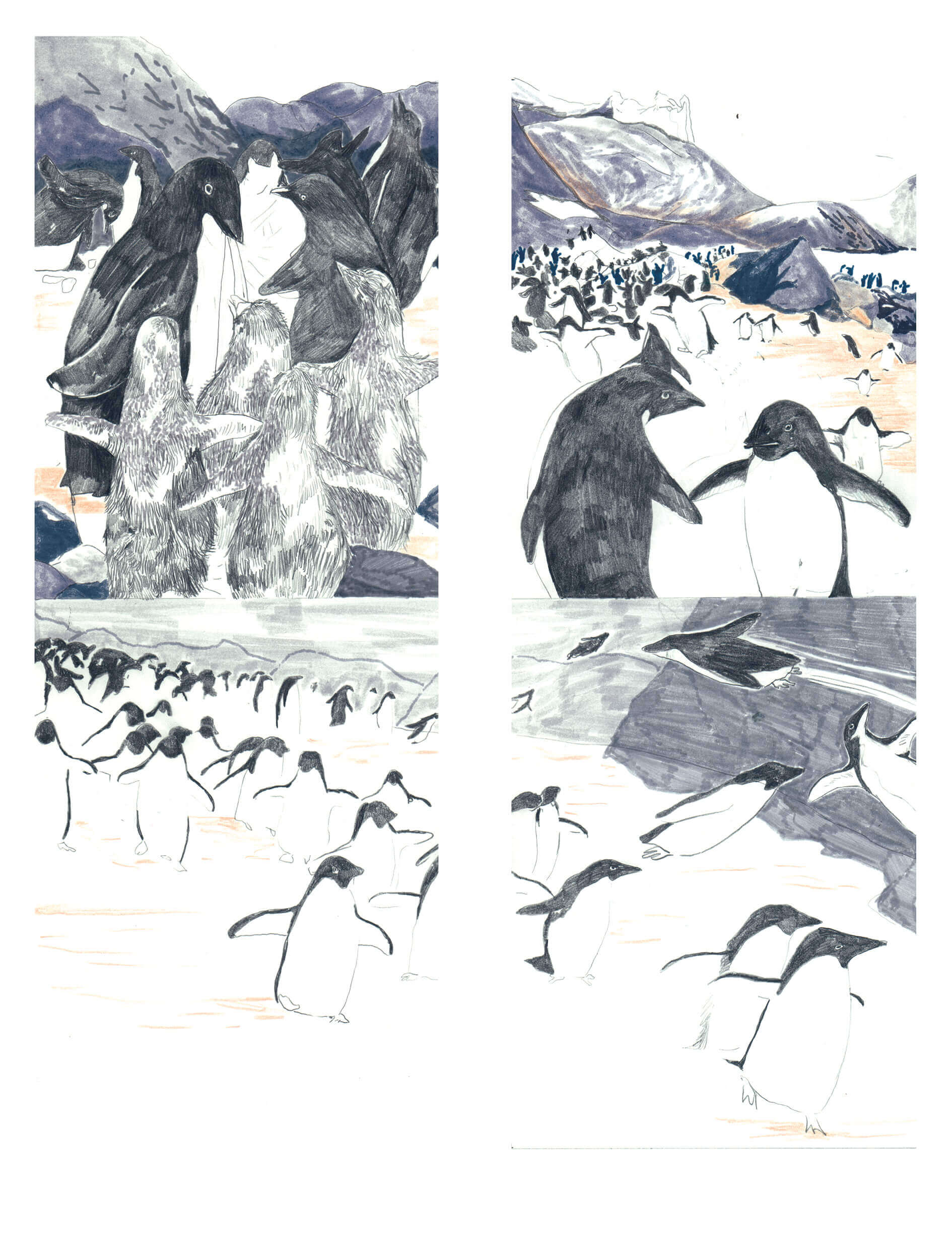 - | Éléonore Scardoni