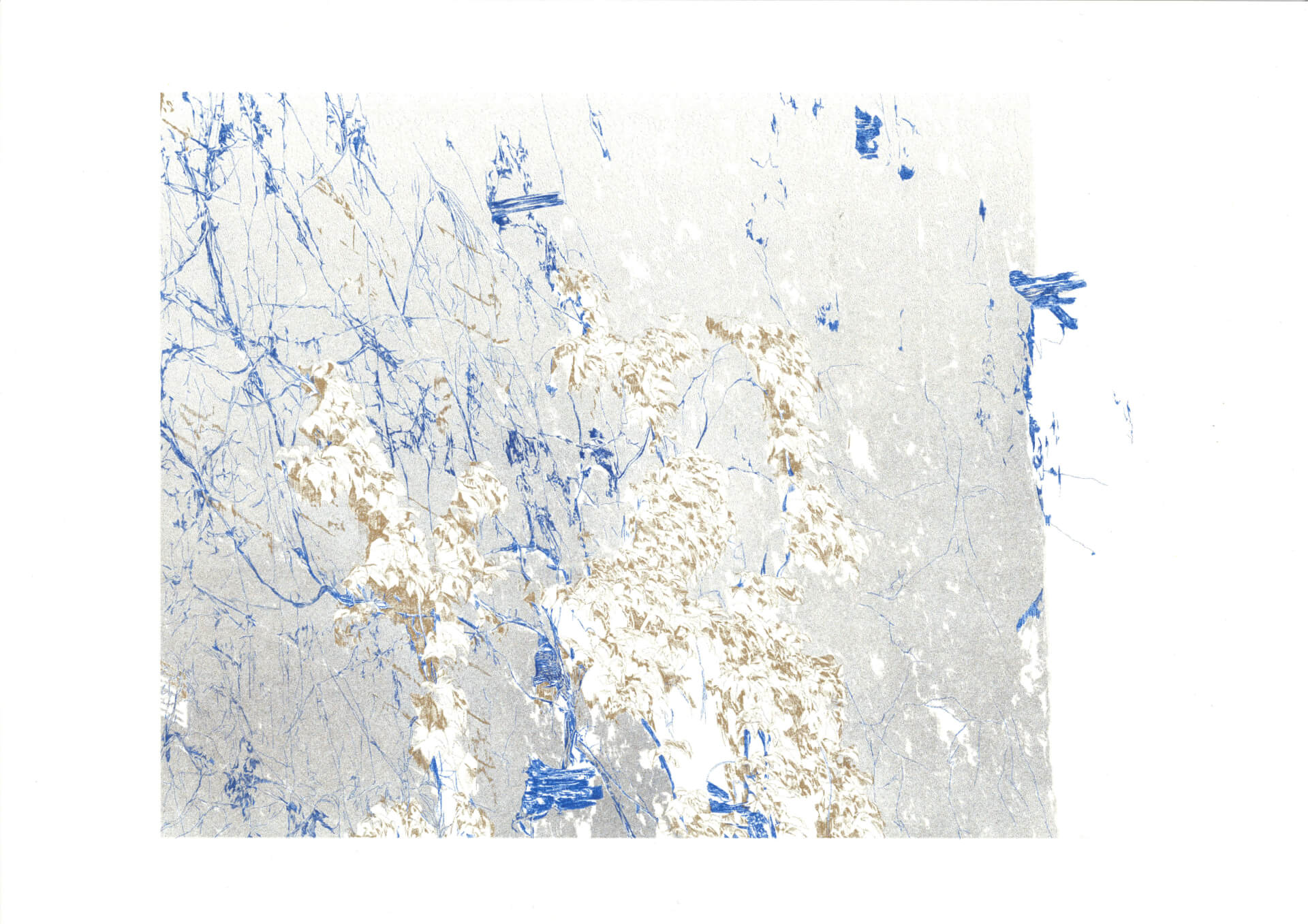 - | Éléonore Scardoni