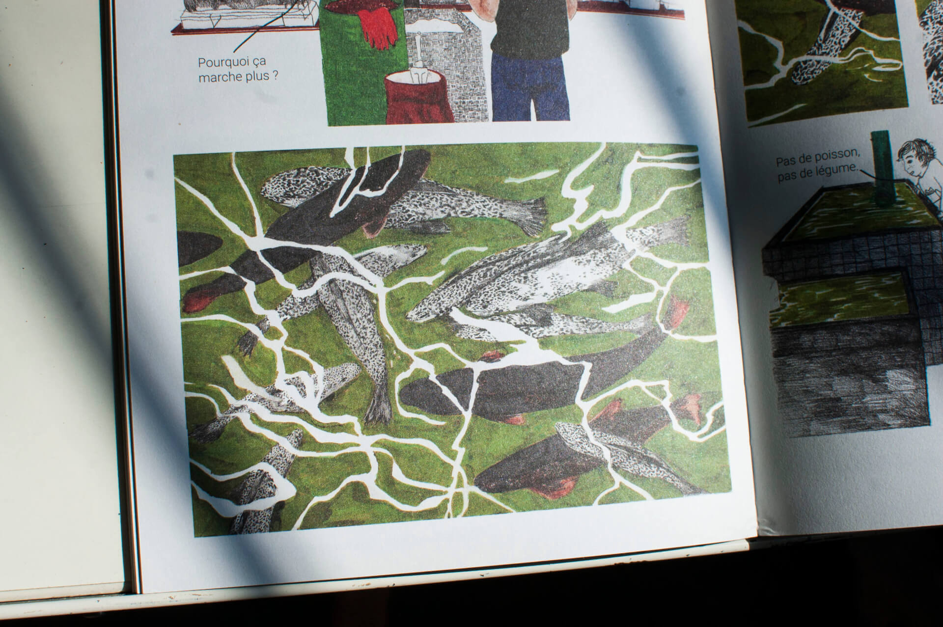 - | Éléonore Scardoni