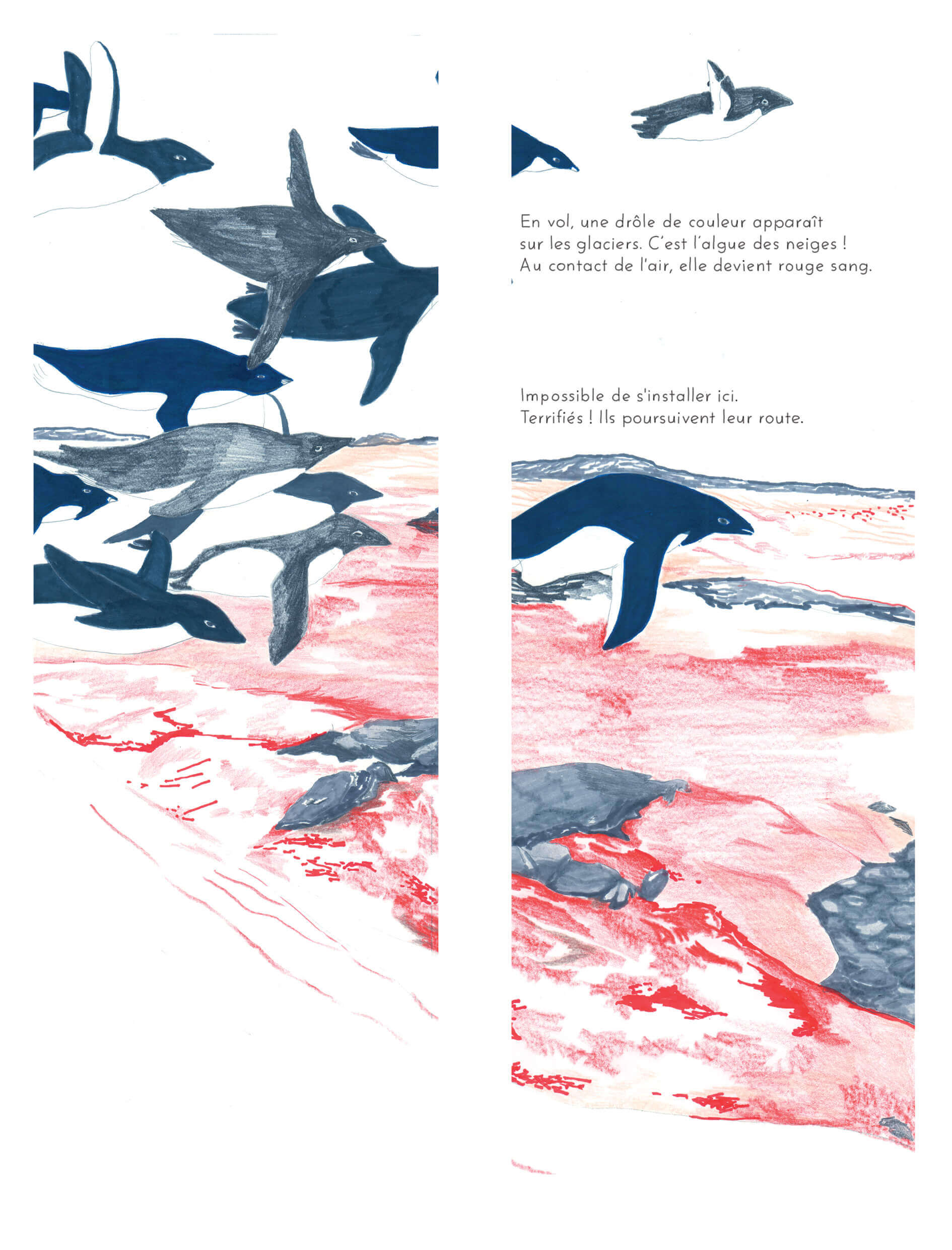 - | Éléonore Scardoni