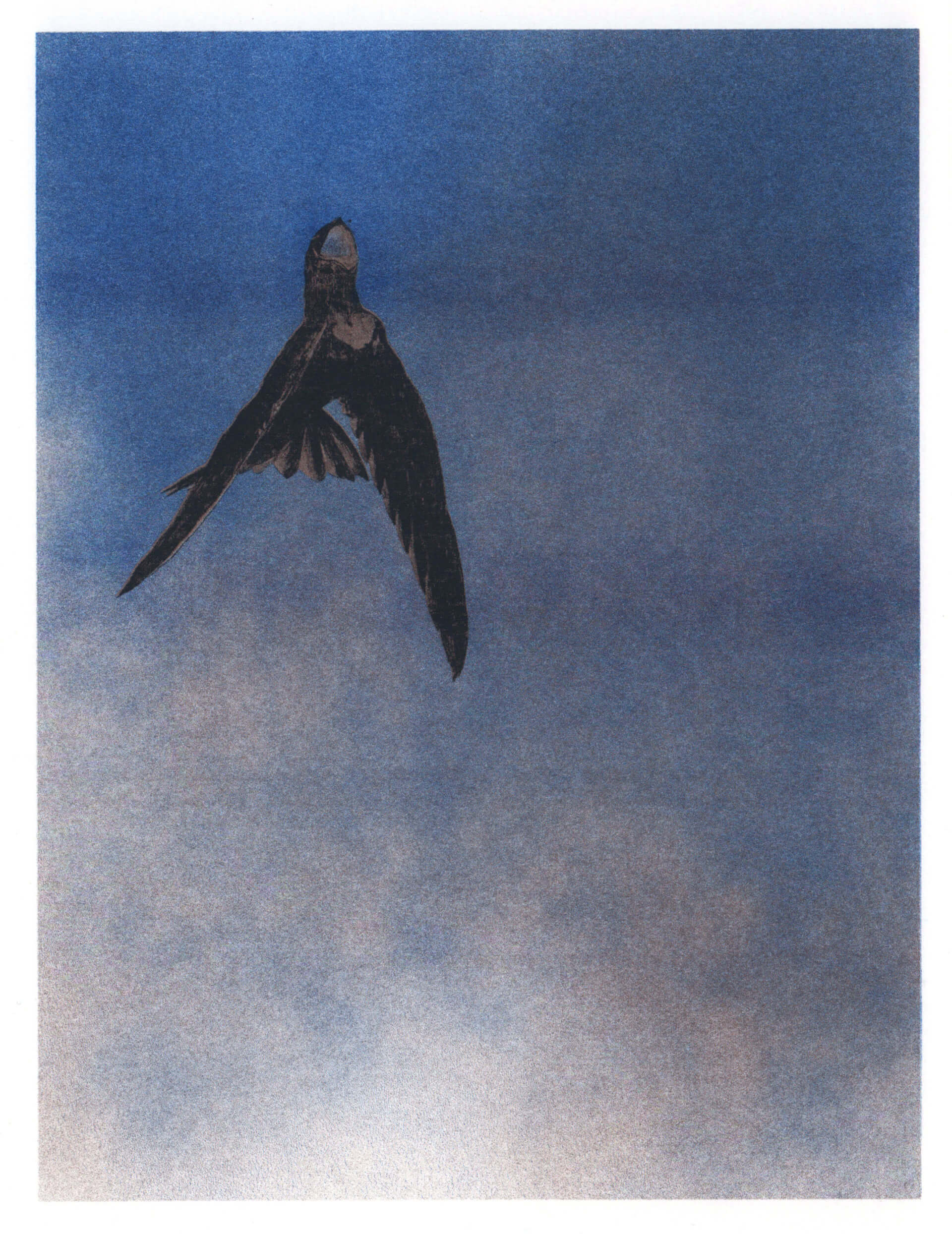 - | Éléonore Scardoni