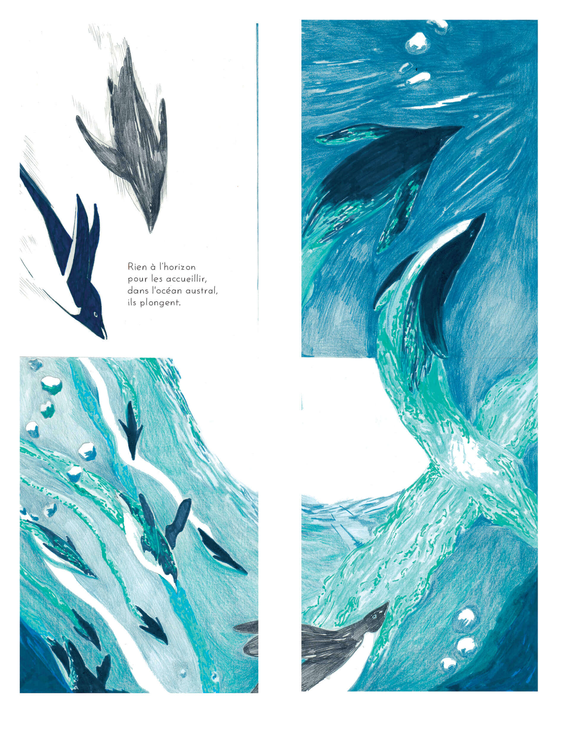 - | Éléonore Scardoni