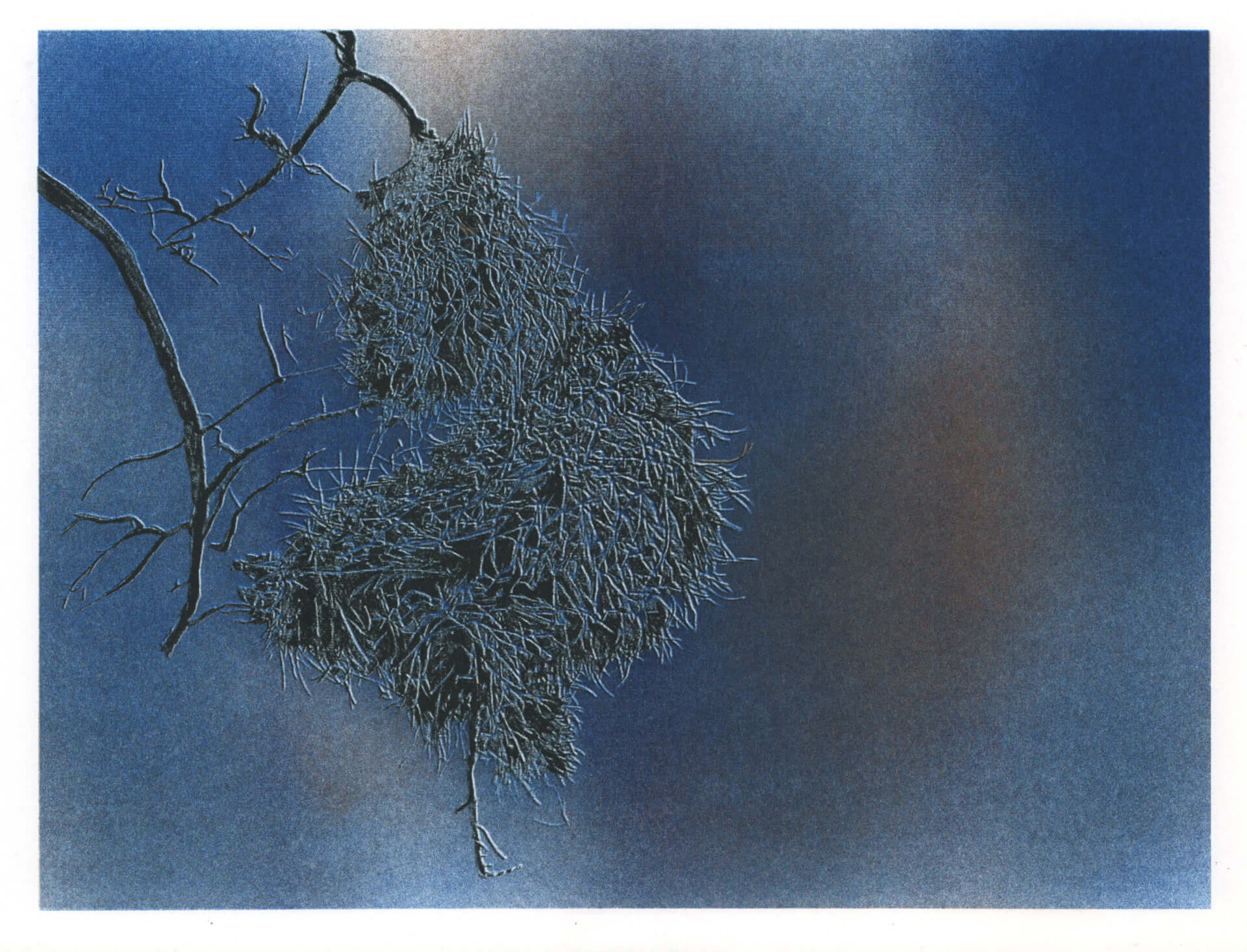 - | Éléonore Scardoni