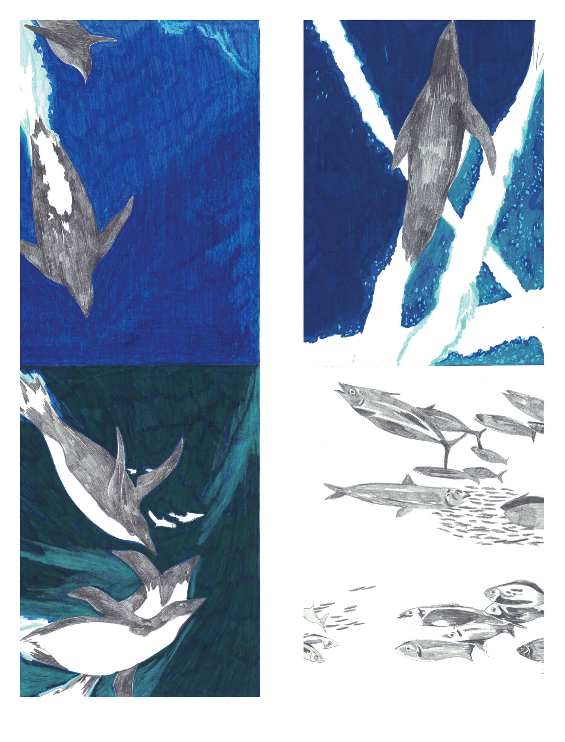 - | Éléonore Scardoni