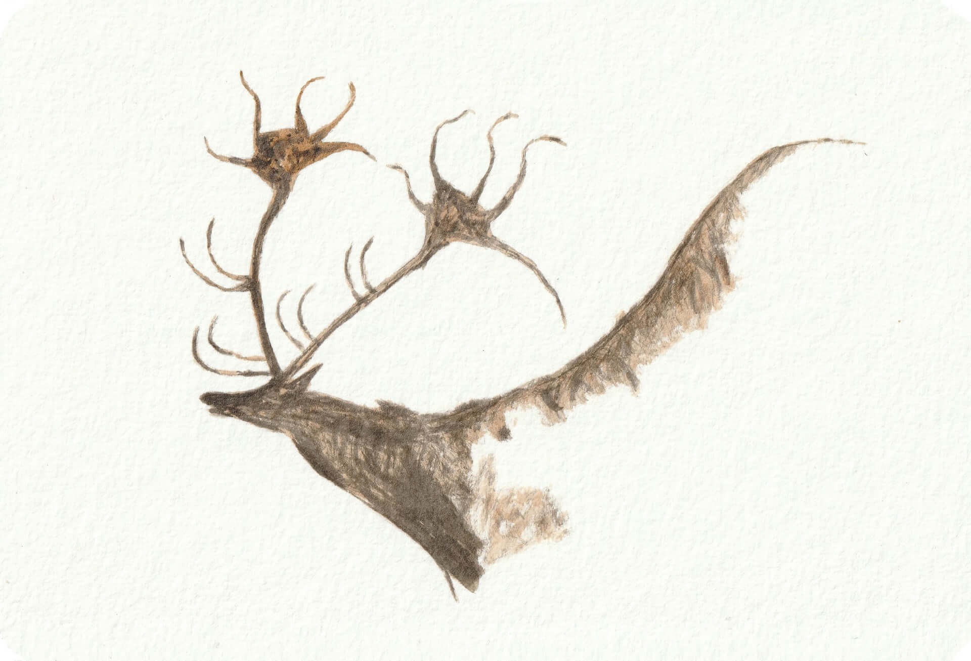 - | christophe-henry