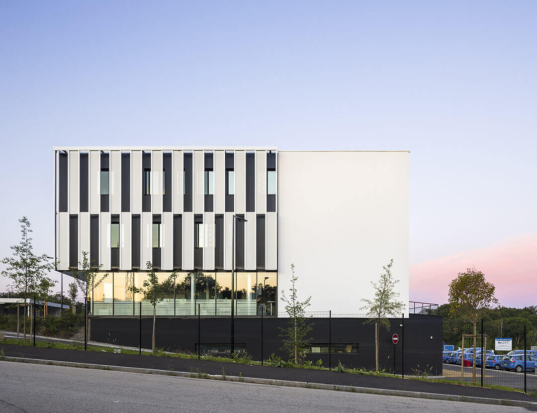 - | BVL Architecture