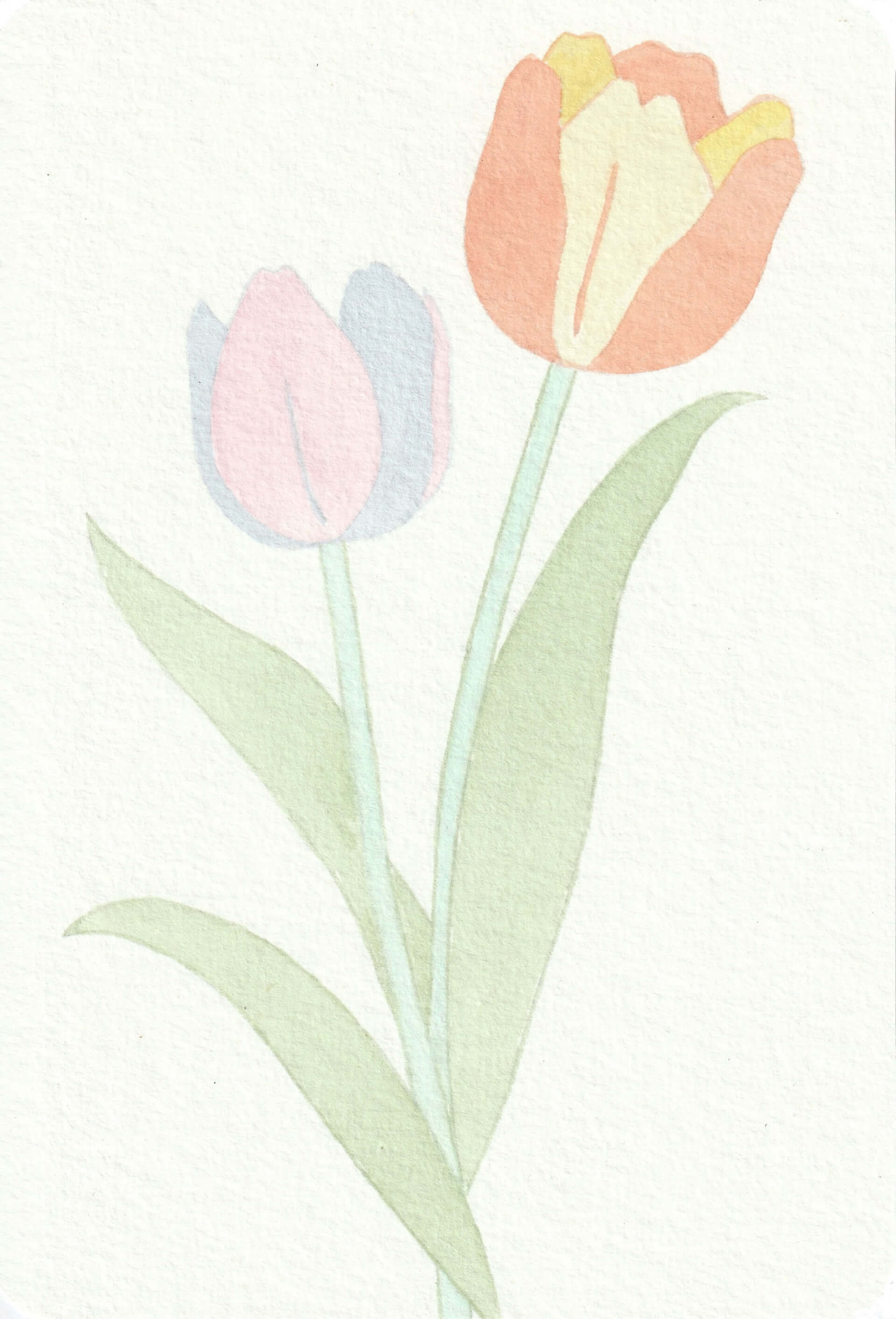 - | christophe-henry