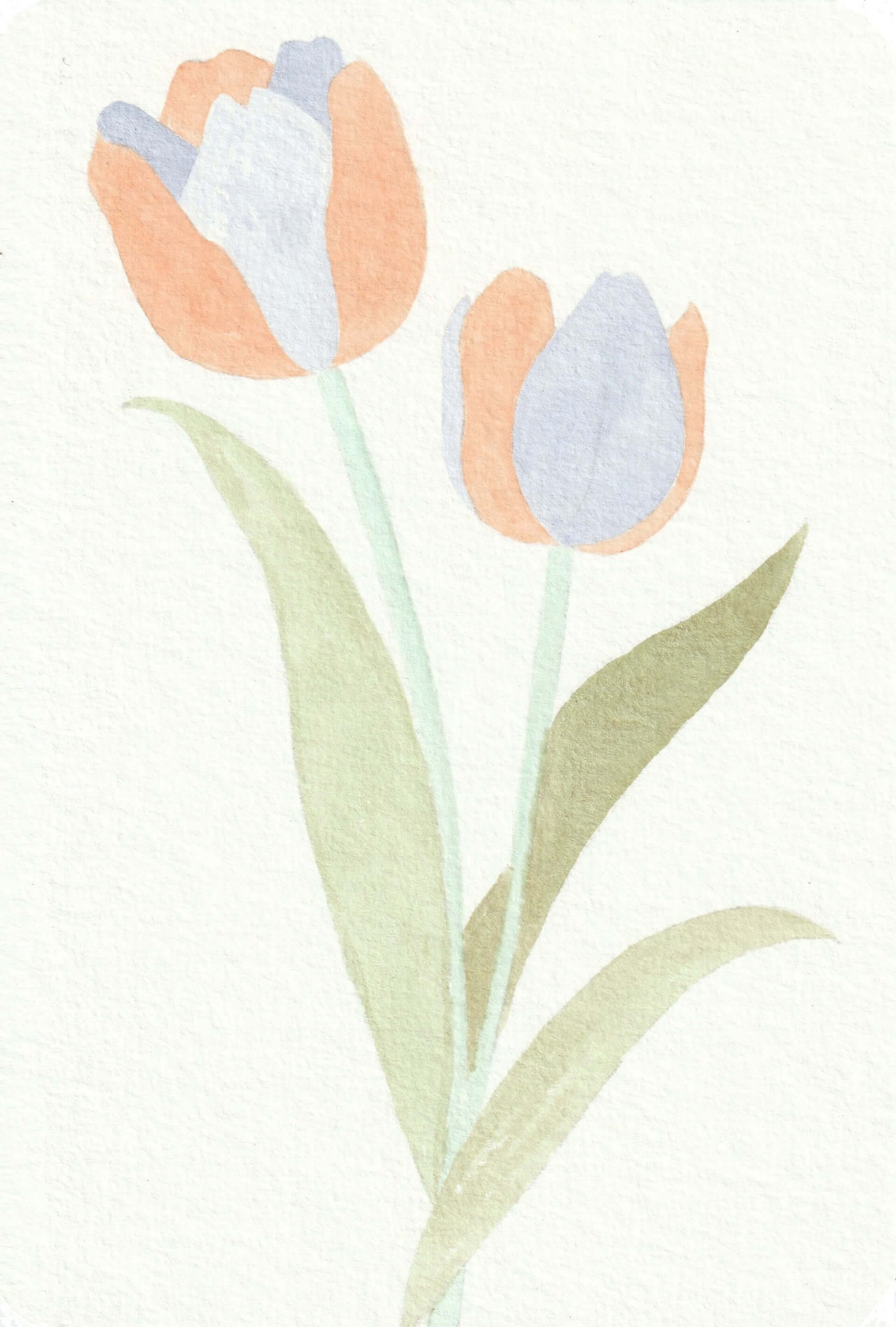 - | christophe-henry