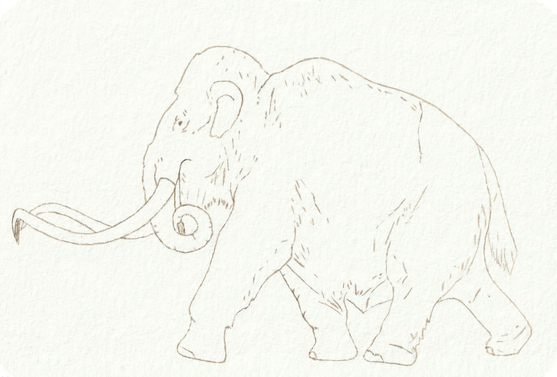 - | christophe-henry