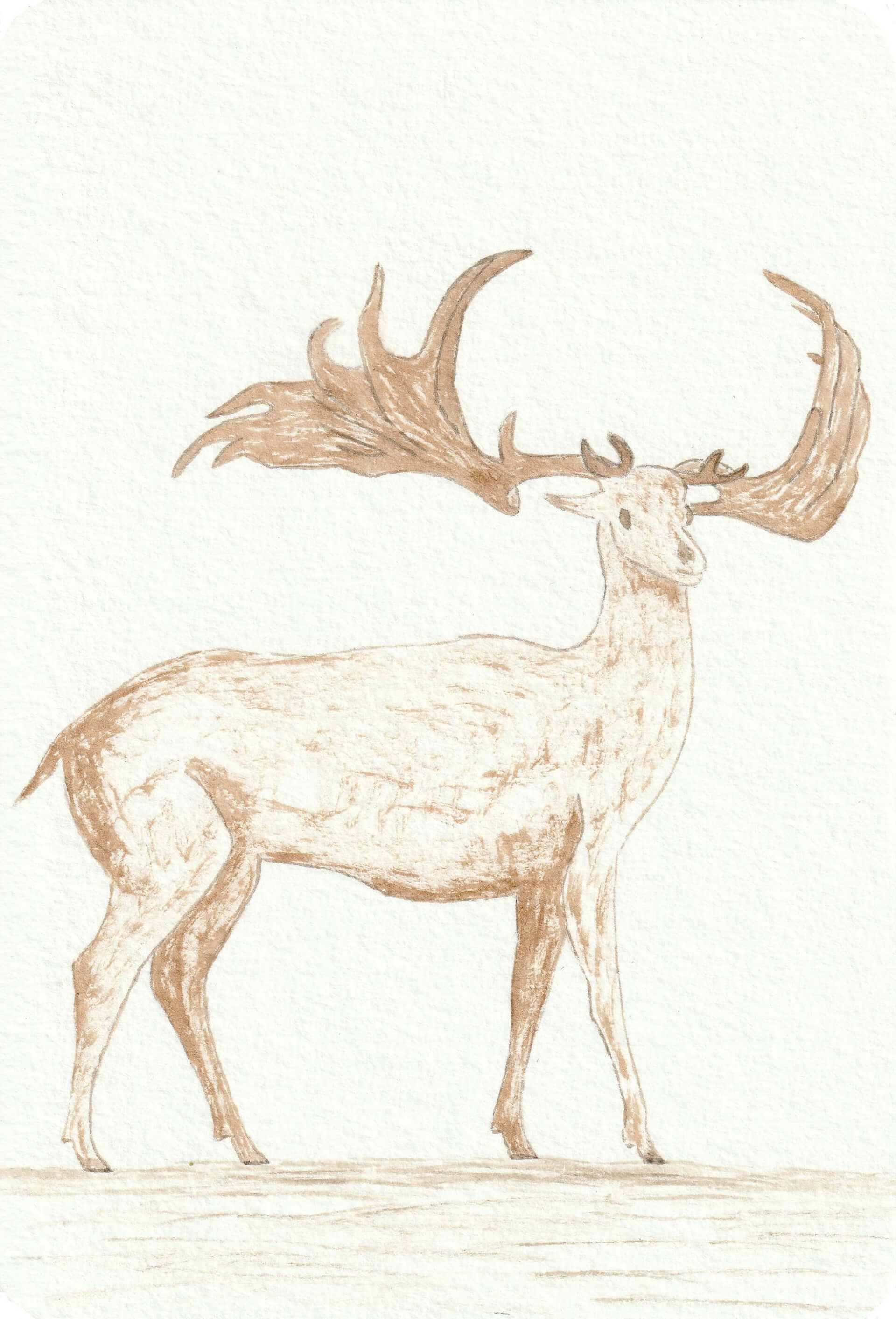 - | christophe-henry