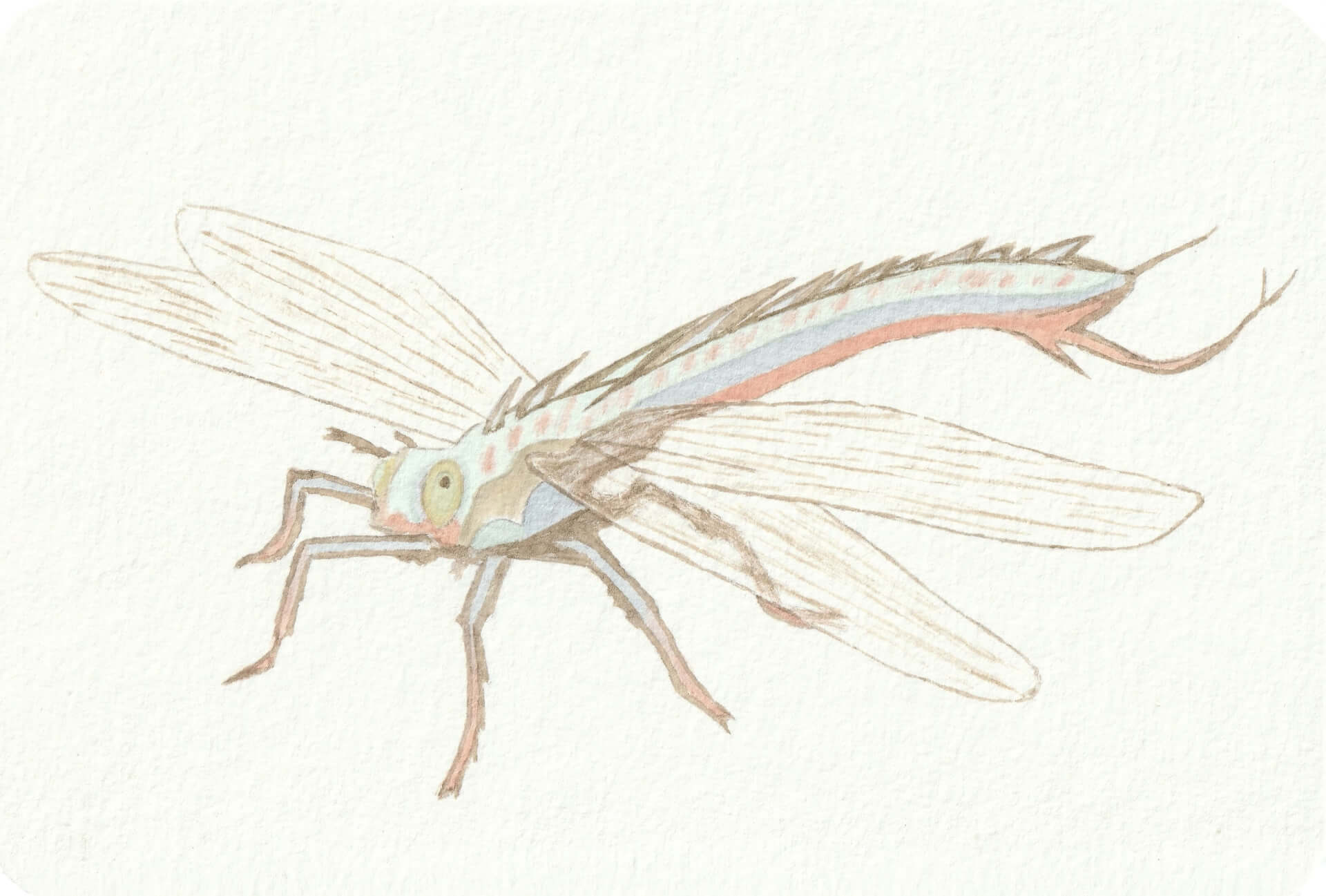 - | christophe-henry