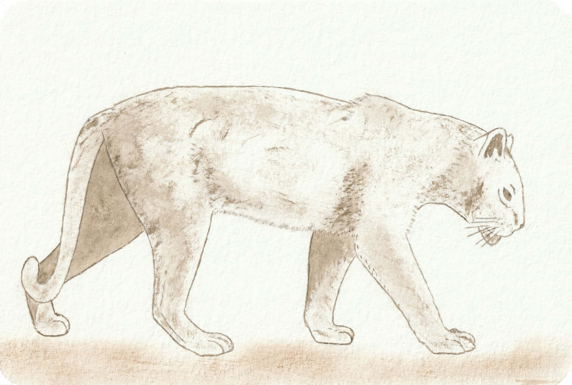 - | christophe-henry