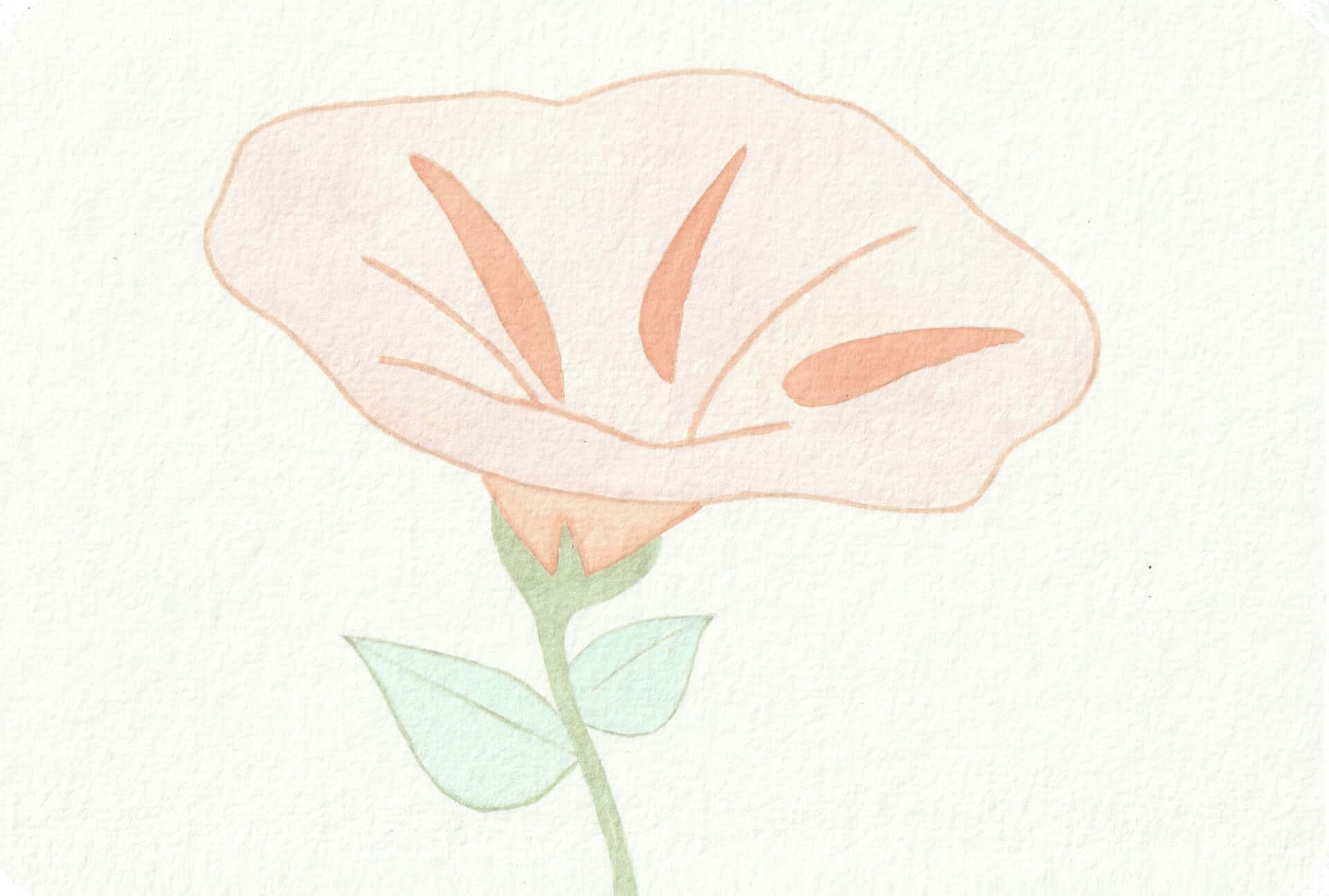 - | christophe-henry