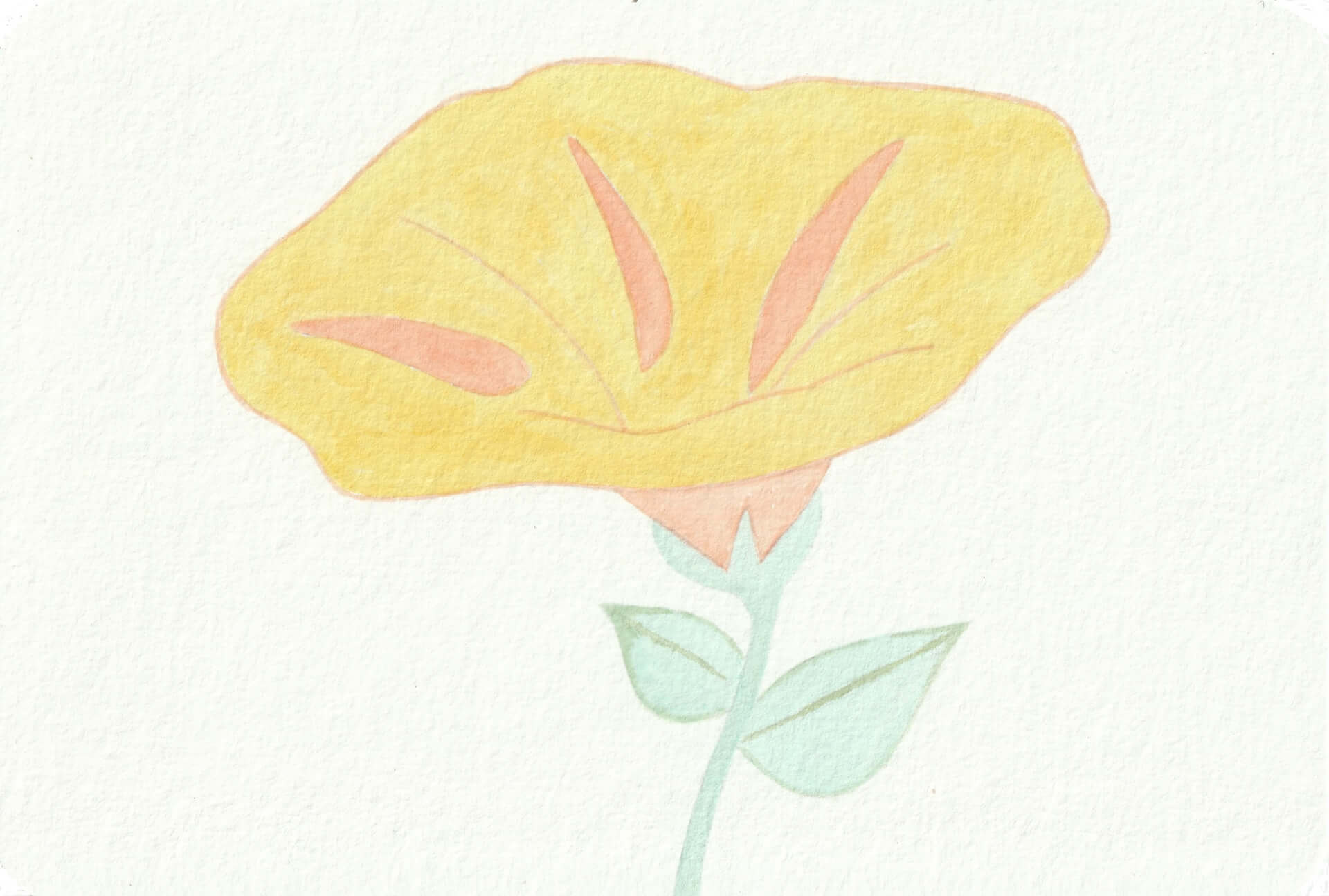 - | christophe-henry